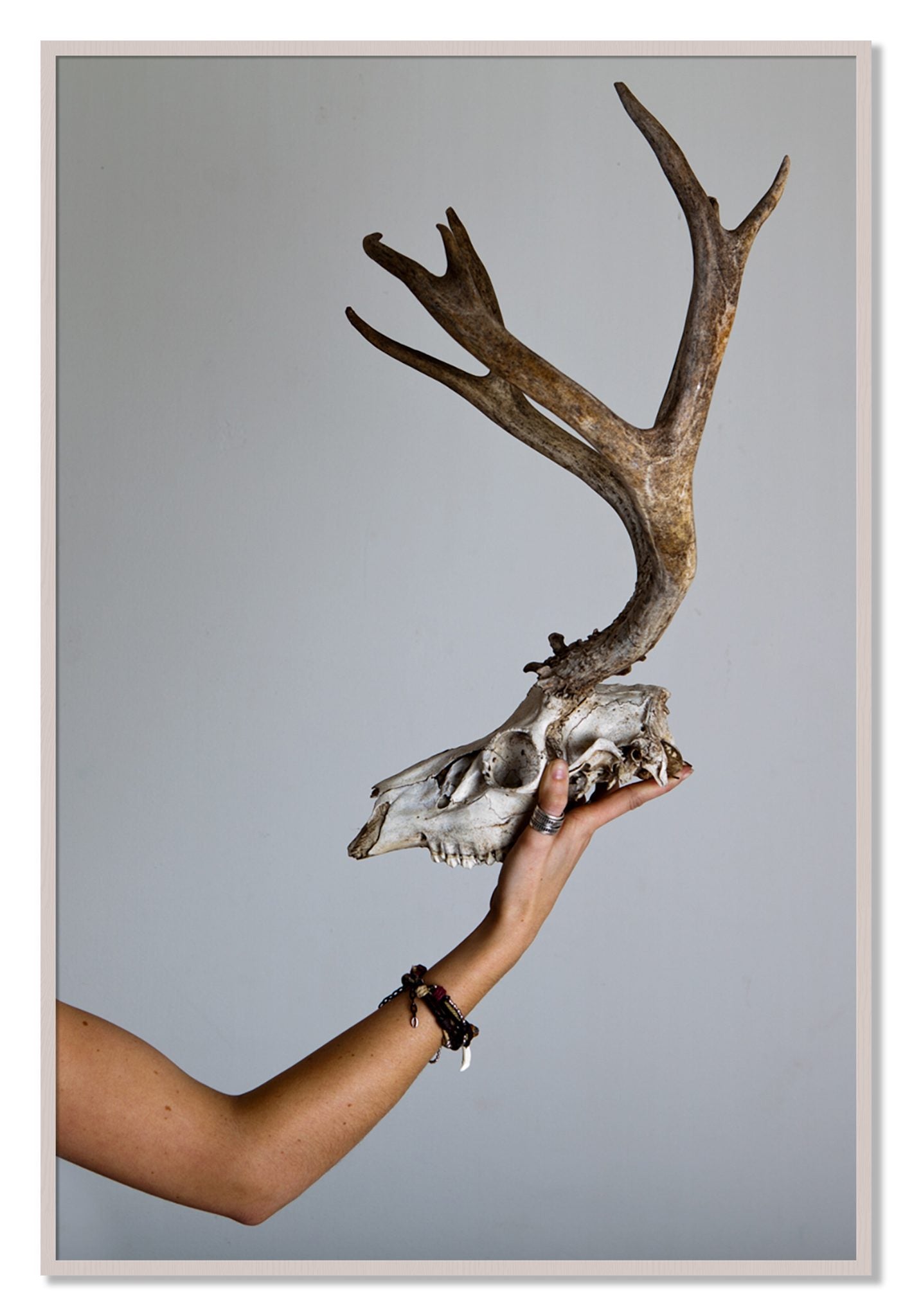 Framed photograph of First Kill by Dylan Ozanich, White Maple frame, Full Bleed