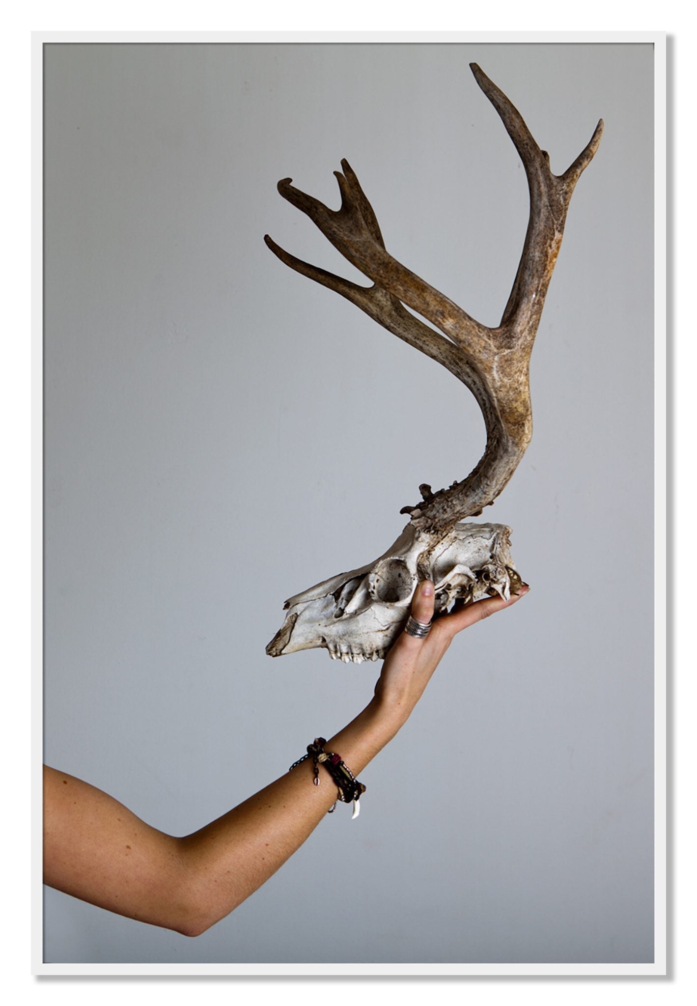 Framed photograph of First Kill by Dylan Ozanich, White frame, Full Bleed