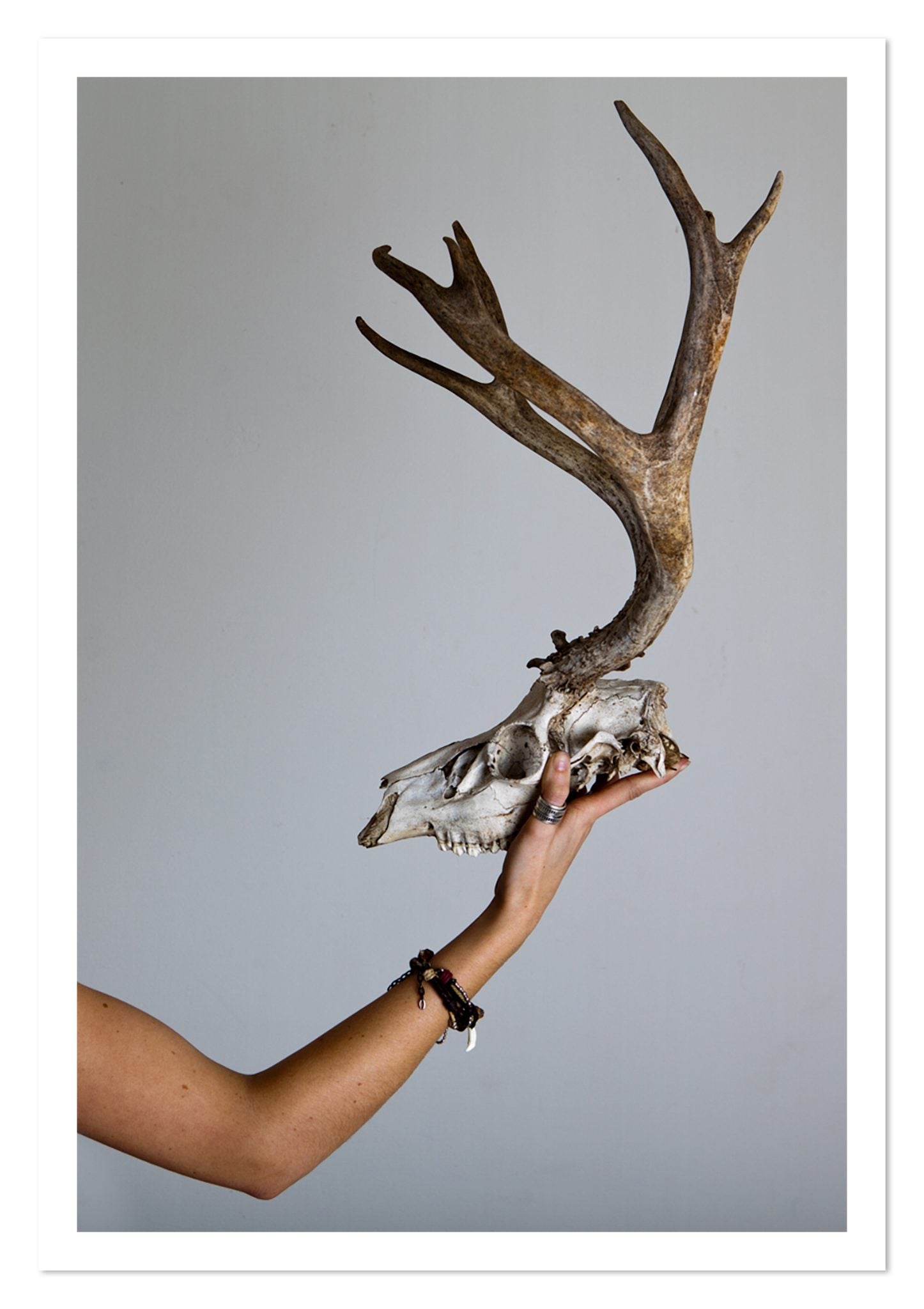 Fine art print of First Kill by Dylan Ozanich, unframed