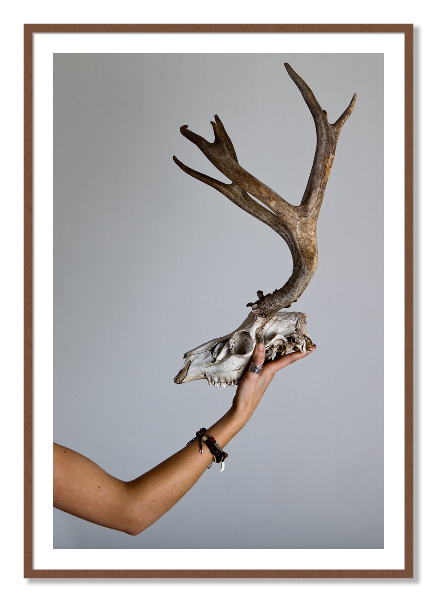 Framed photograph of First Kill by Dylan Ozanich, Walnut frame, Borders