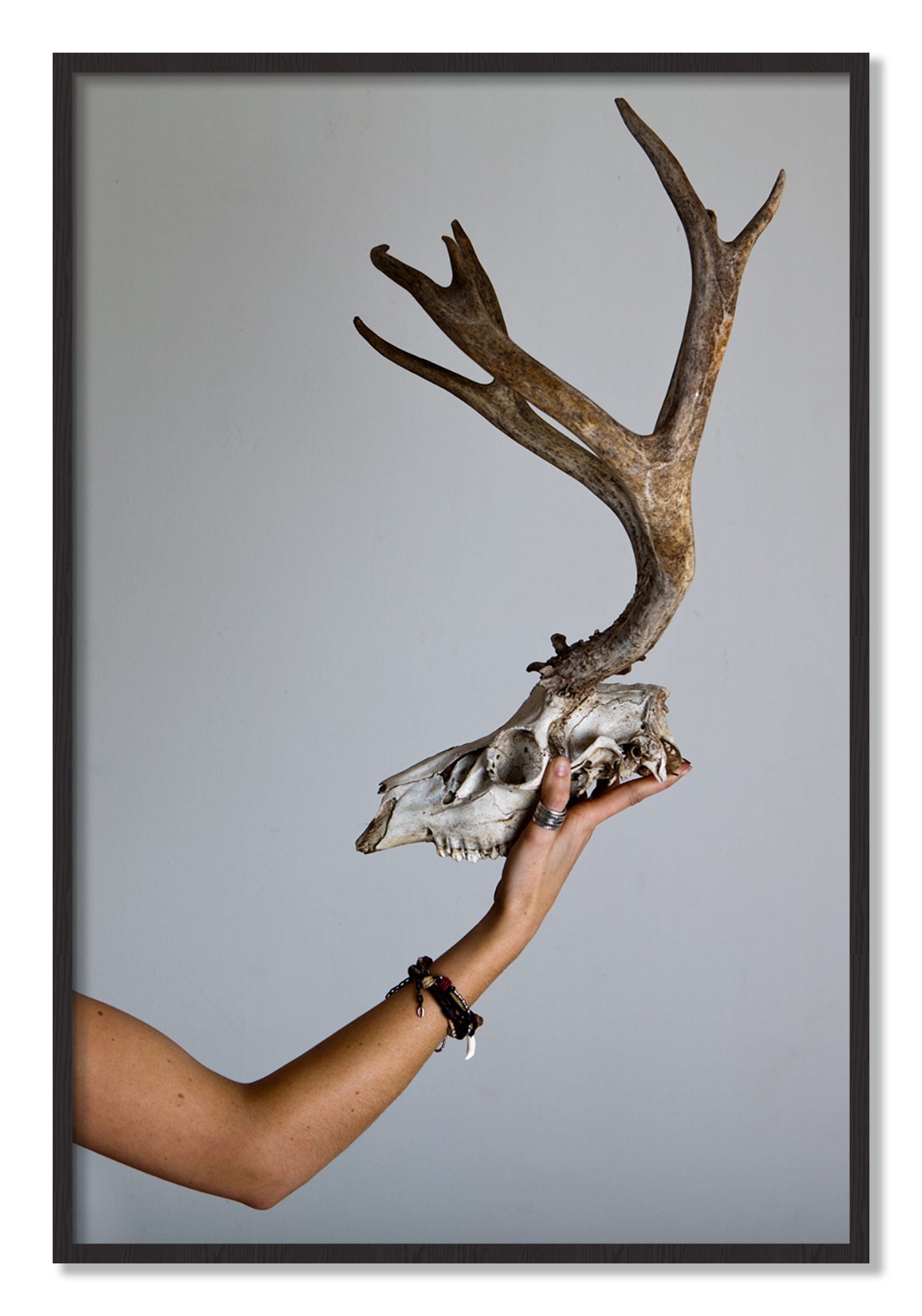 Framed photograph of First Kill by Dylan Ozanich, Black Walnut frame, Full Bleed