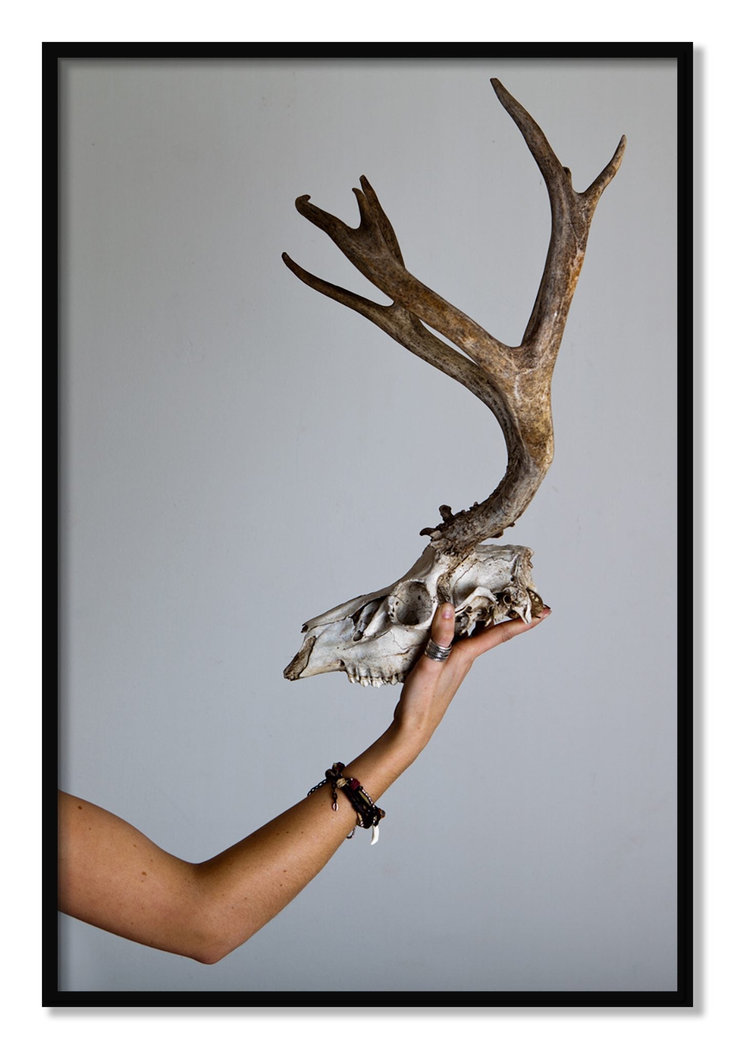 Framed photograph of First Kill by Dylan Ozanich, Black frame, Full Bleed