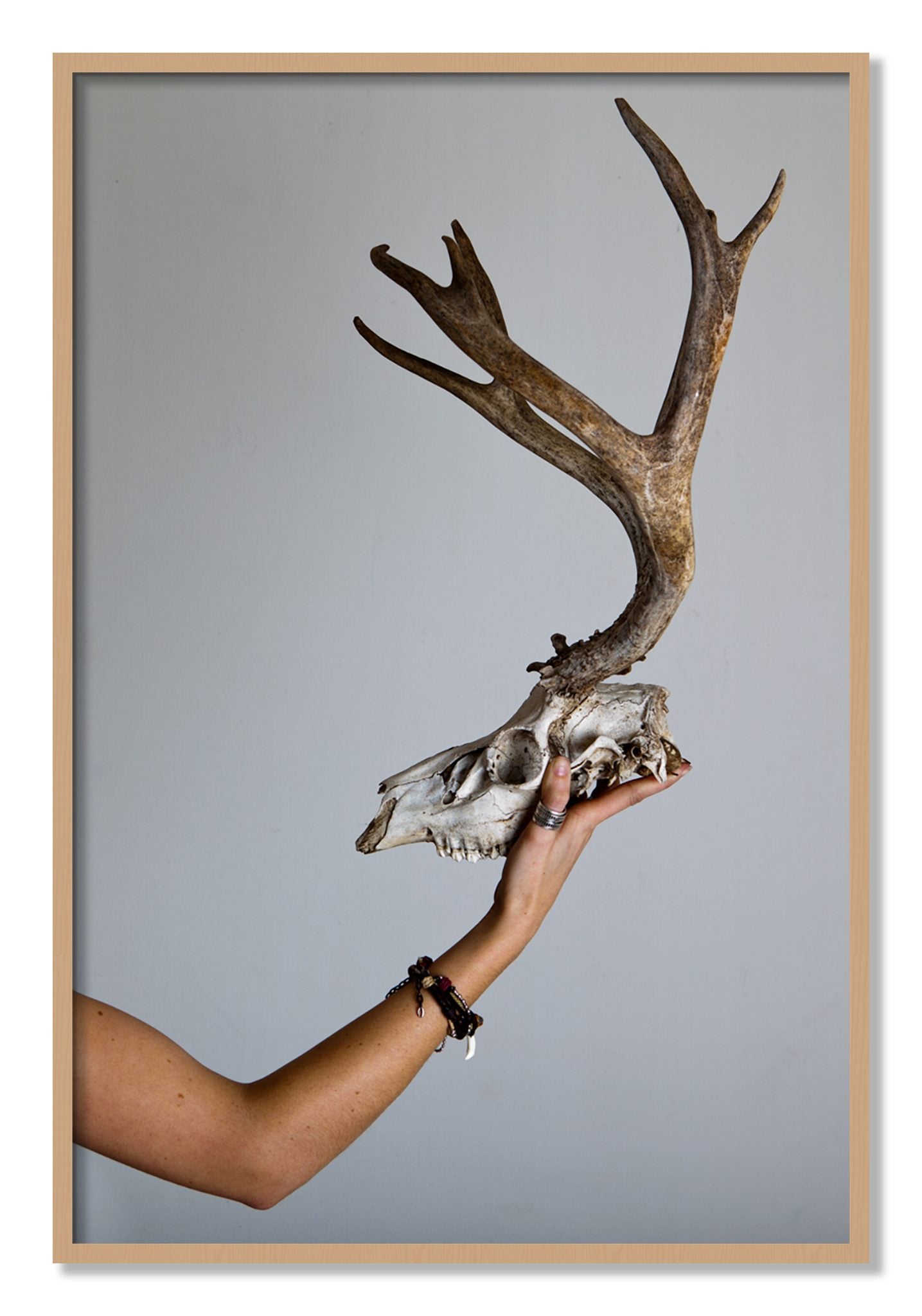 Framed photograph of First Kill by Dylan Ozanich, Oak frame, Full Bleed