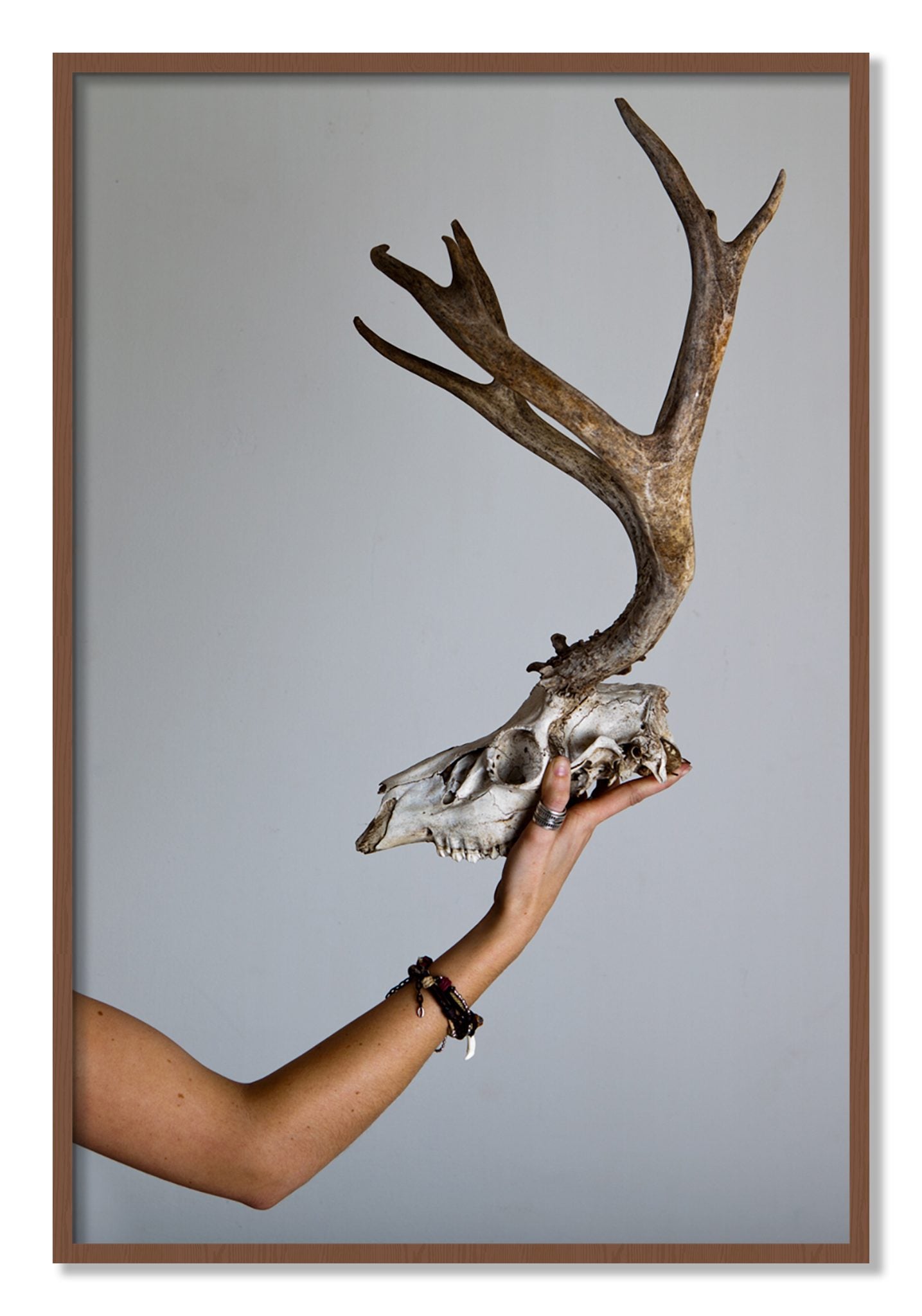 Framed photograph of First Kill by Dylan Ozanich, Walnut frame, Full Bleed