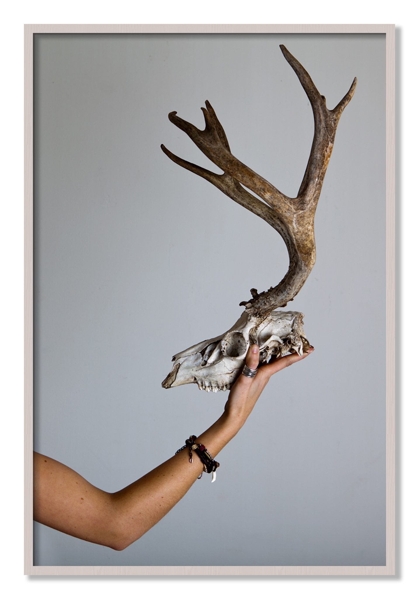 Framed photograph of First Kill by Dylan Ozanich, White Maple frame, Full Bleed