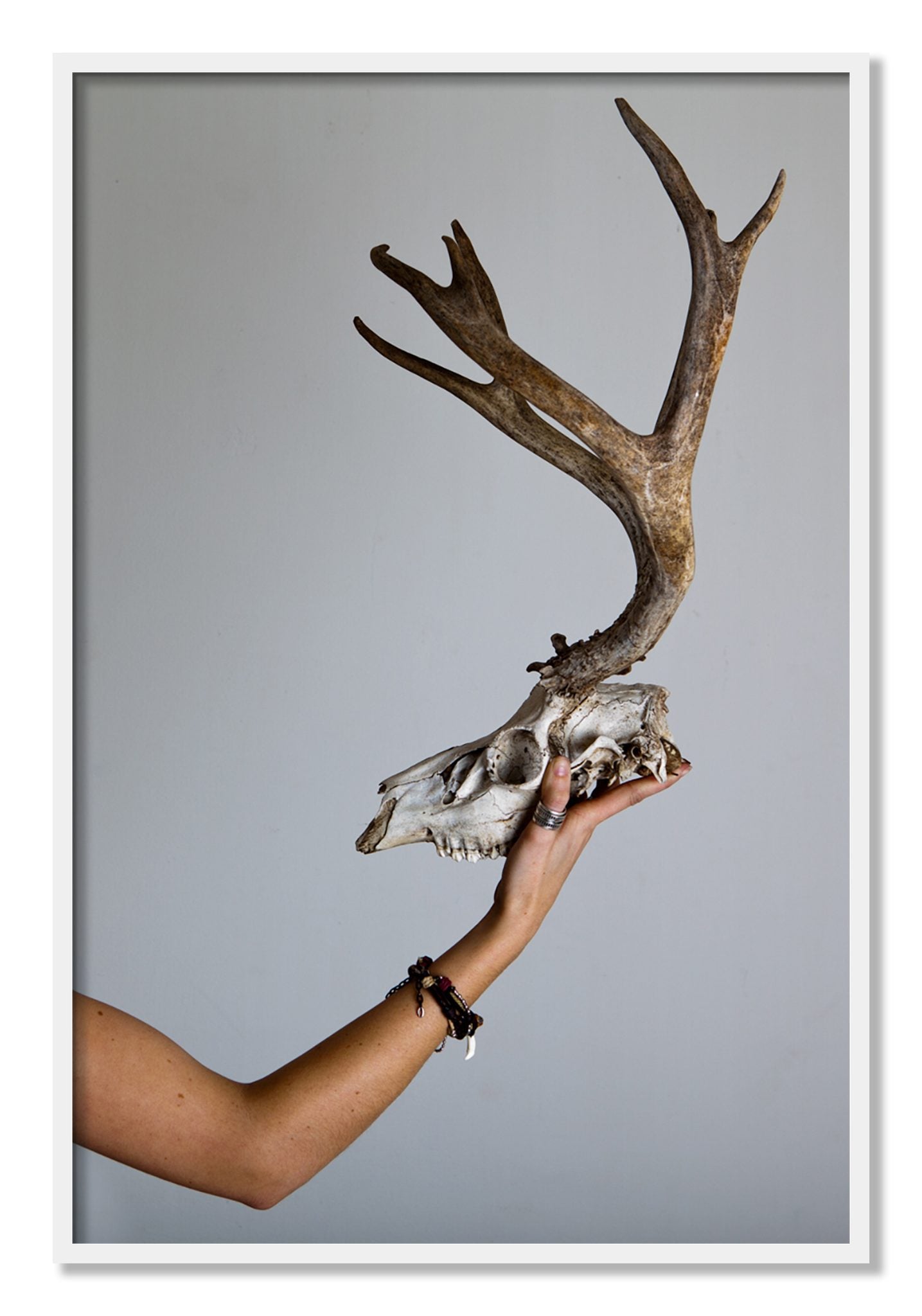 Framed photograph of First Kill by Dylan Ozanich, White frame, Full Bleed