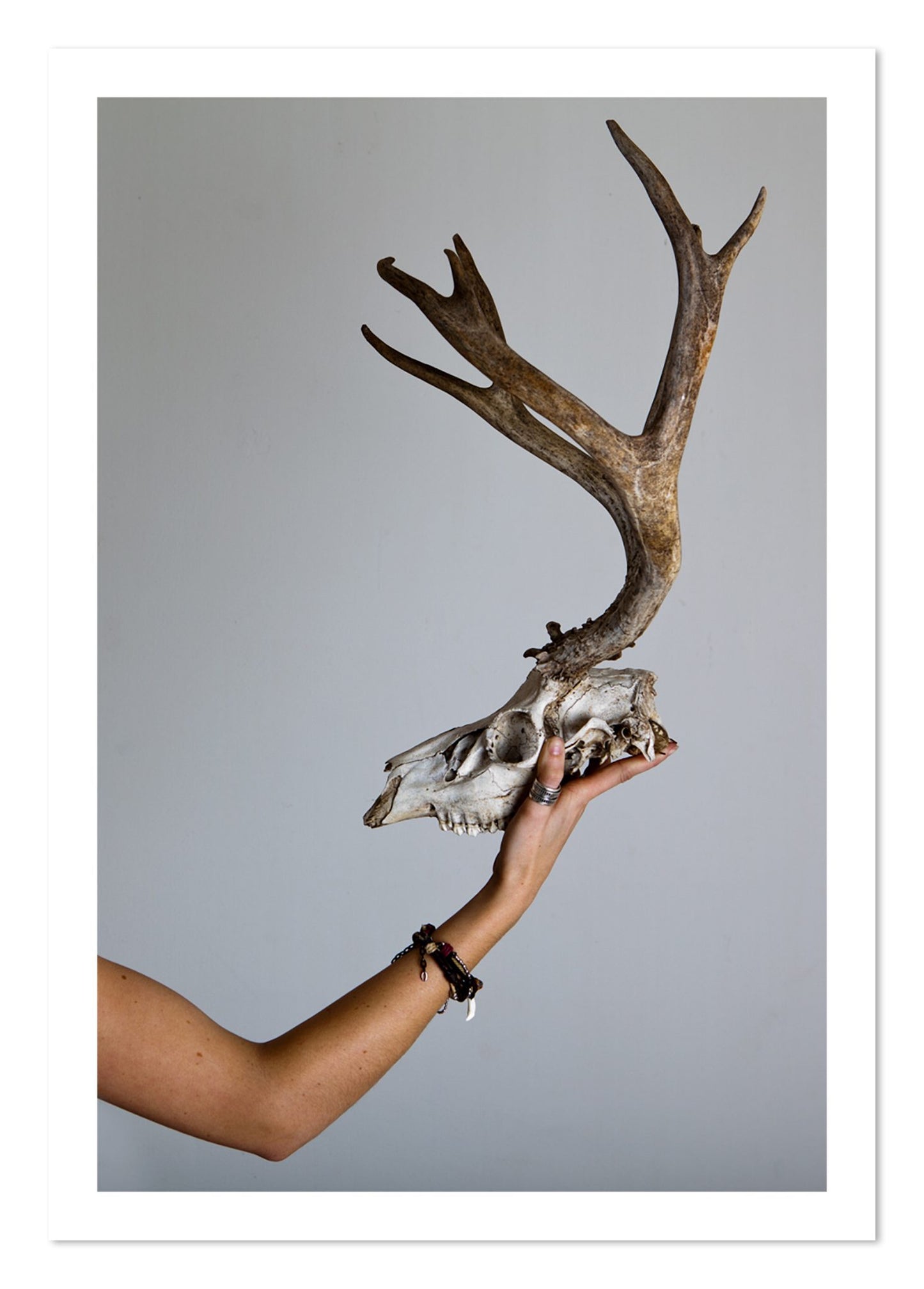 Fine art print of First Kill by Dylan Ozanich, unframed