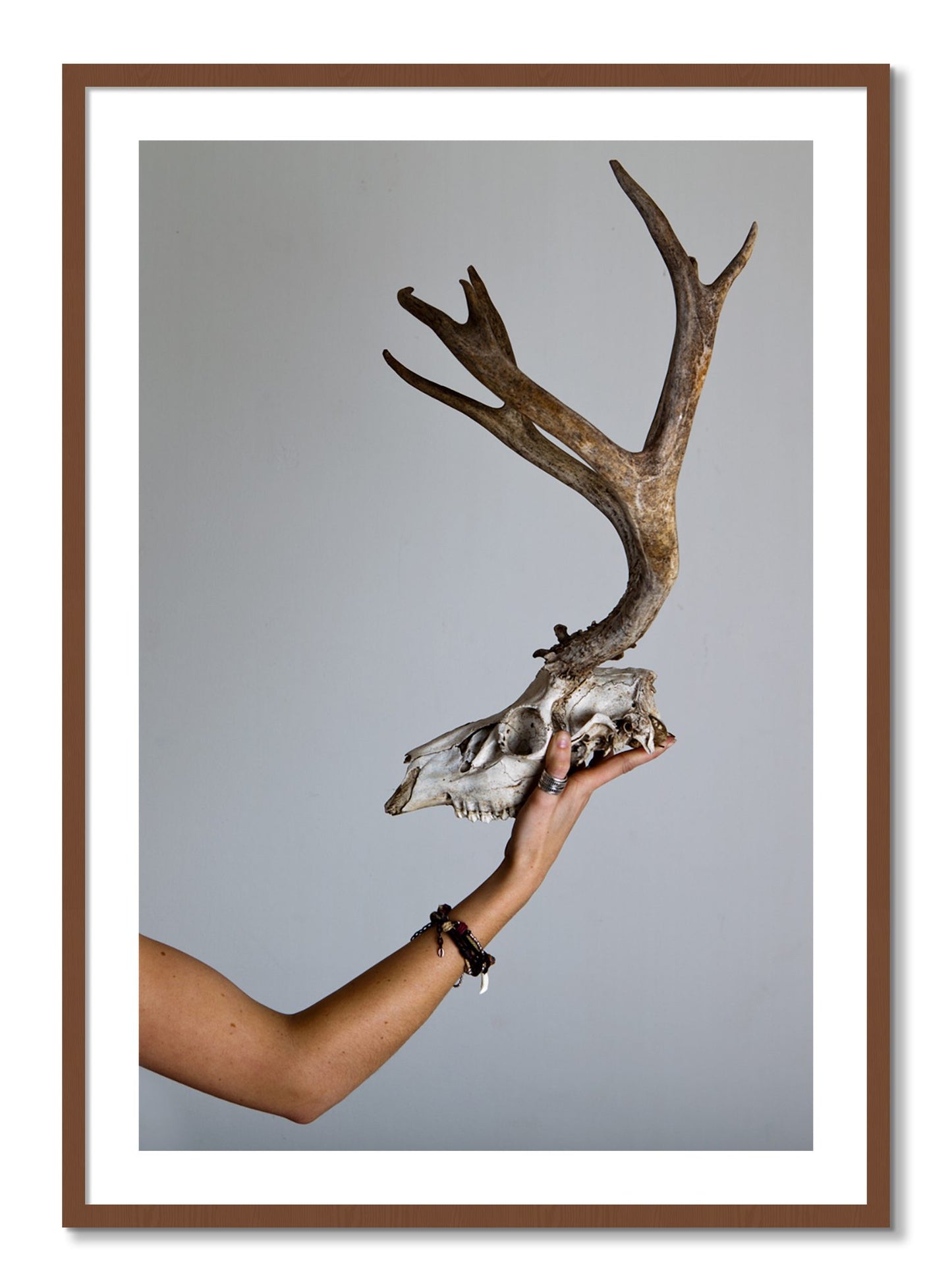 Framed photograph of First Kill by Dylan Ozanich, Walnut frame, Borders