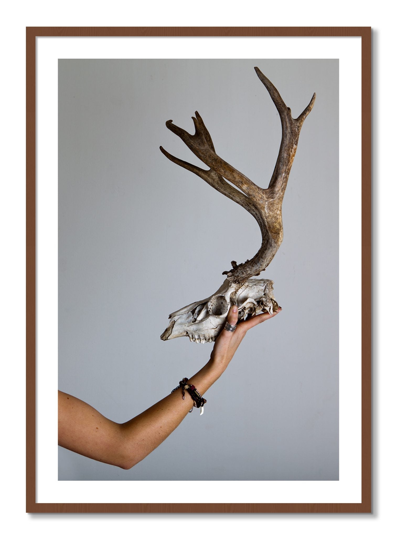 Framed photograph of First Kill by Dylan Ozanich, Walnut frame, Borders