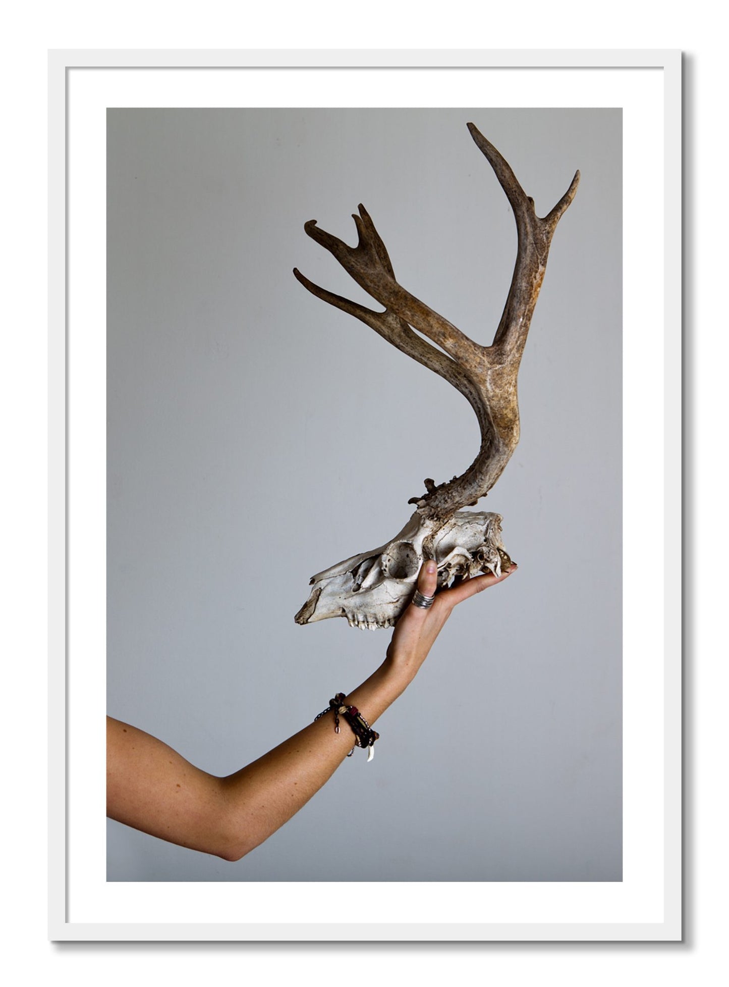 Framed photograph of First Kill by Dylan Ozanich, White frame, Borders