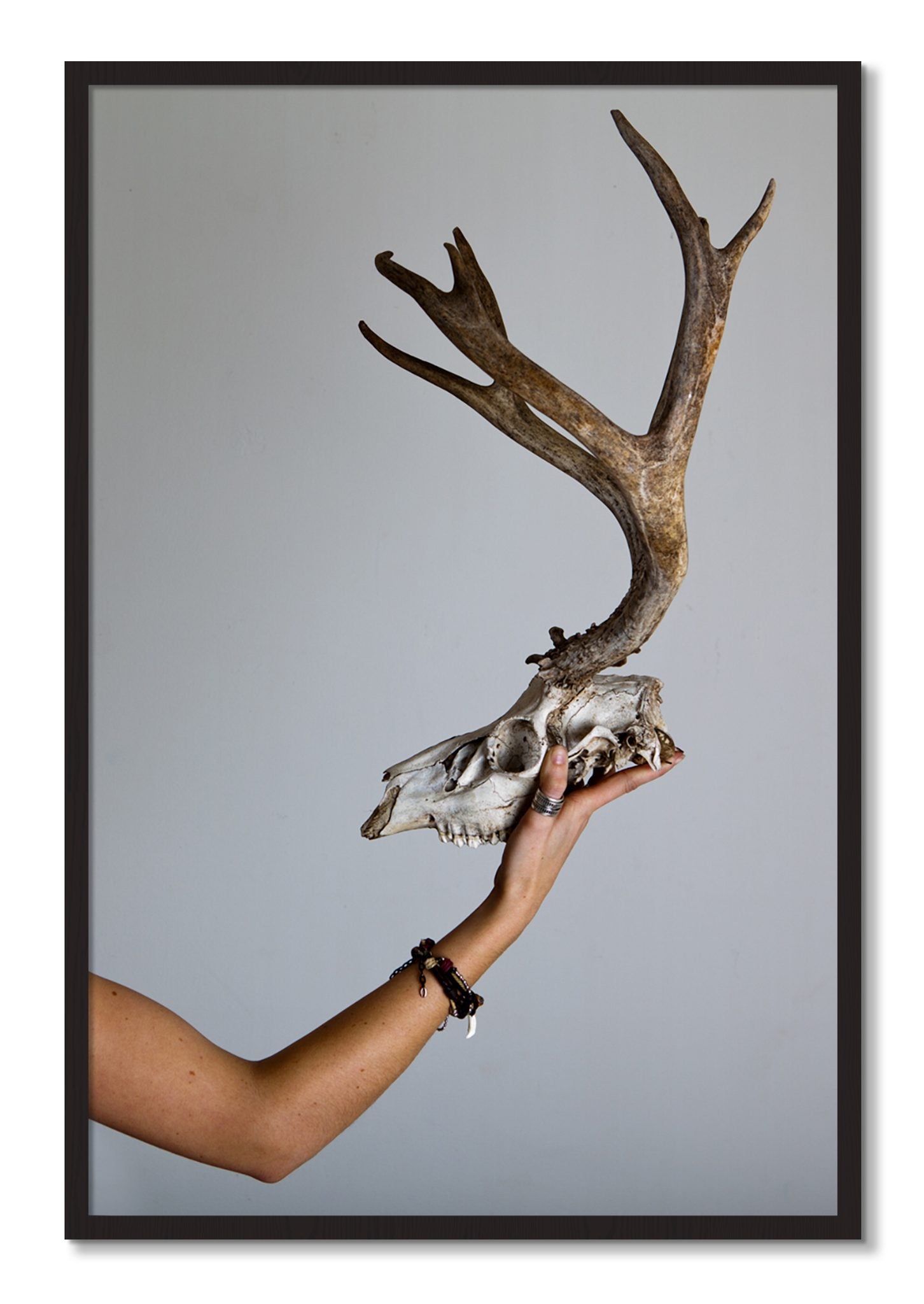 Framed photograph of First Kill by Dylan Ozanich, Black Walnut frame, Full Bleed