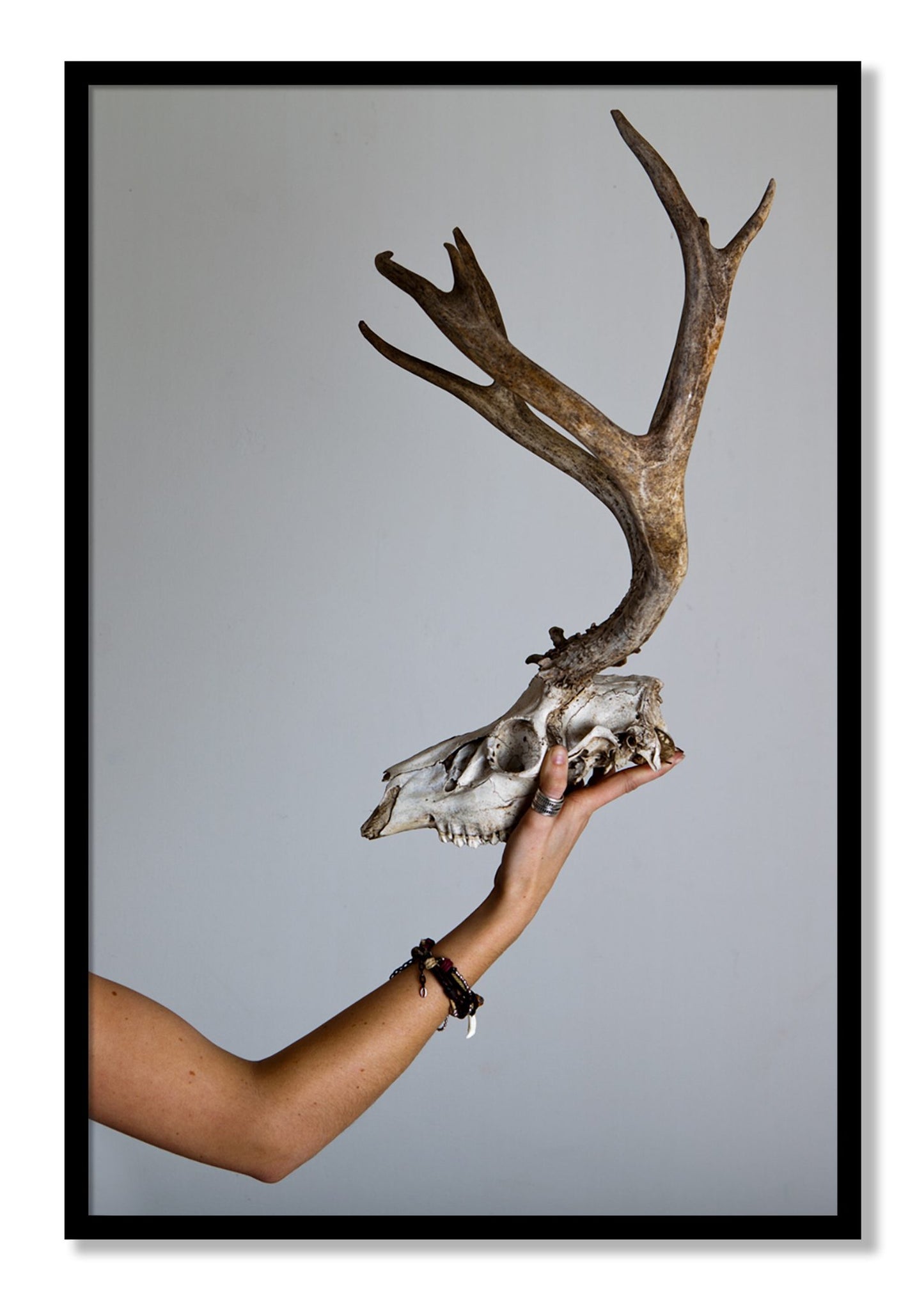 Framed photograph of First Kill by Dylan Ozanich, Black frame, Full Bleed