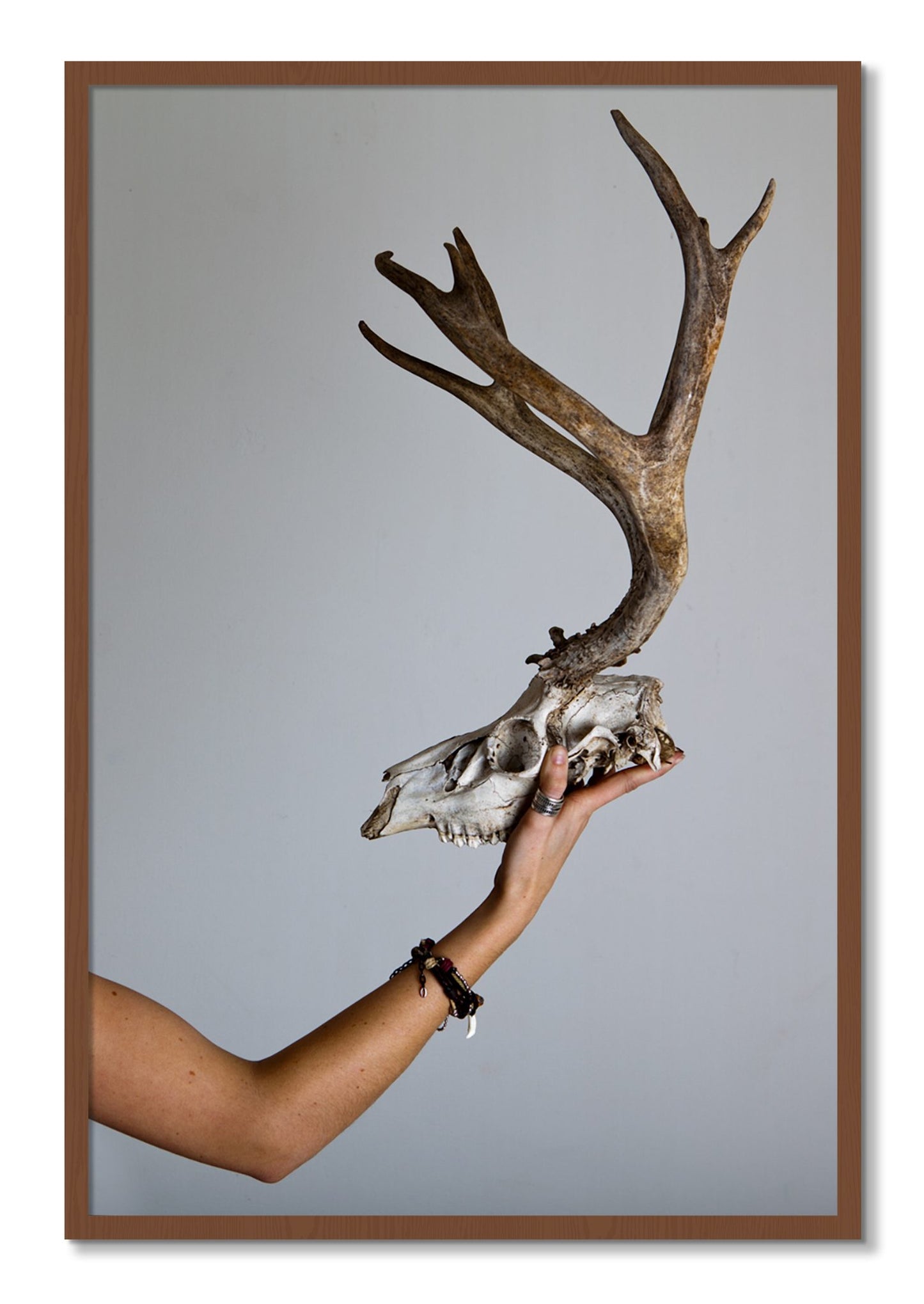 Framed photograph of First Kill by Dylan Ozanich, Walnut frame, Full Bleed