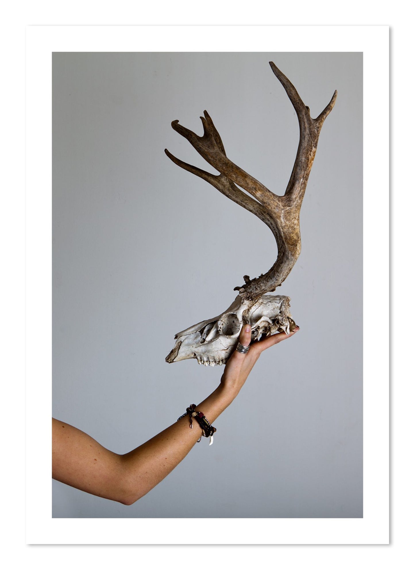 Fine art print of First Kill by Dylan Ozanich, unframed