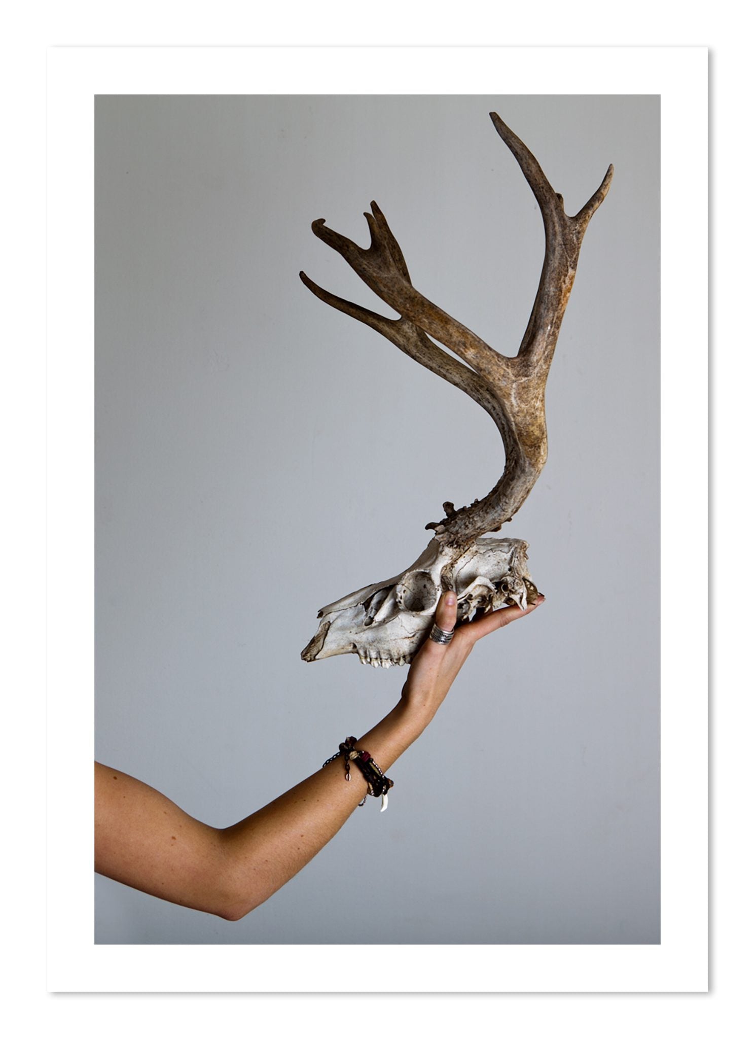 Fine art print of First Kill by Dylan Ozanich, unframed