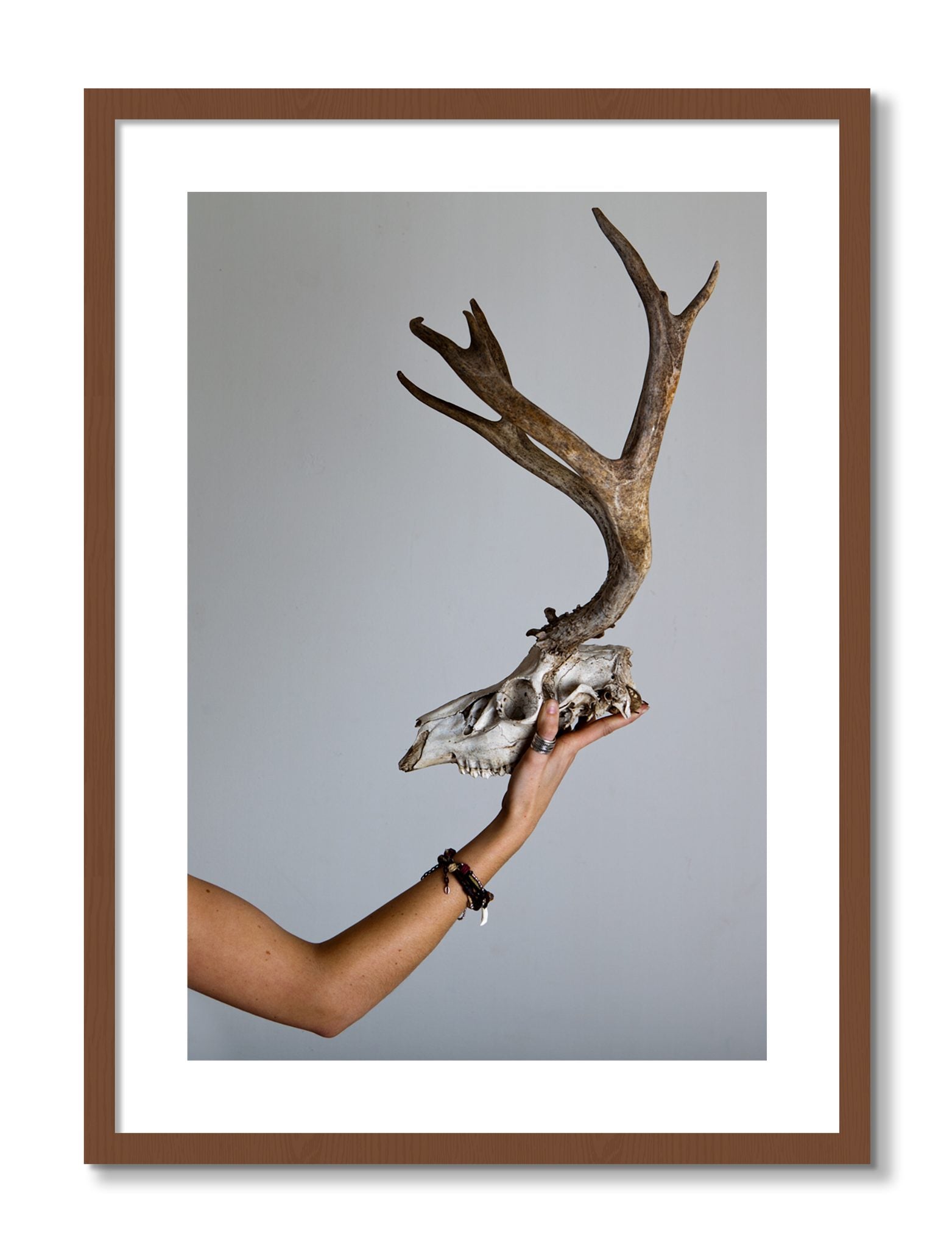 Framed photograph of First Kill by Dylan Ozanich, Walnut frame, Borders