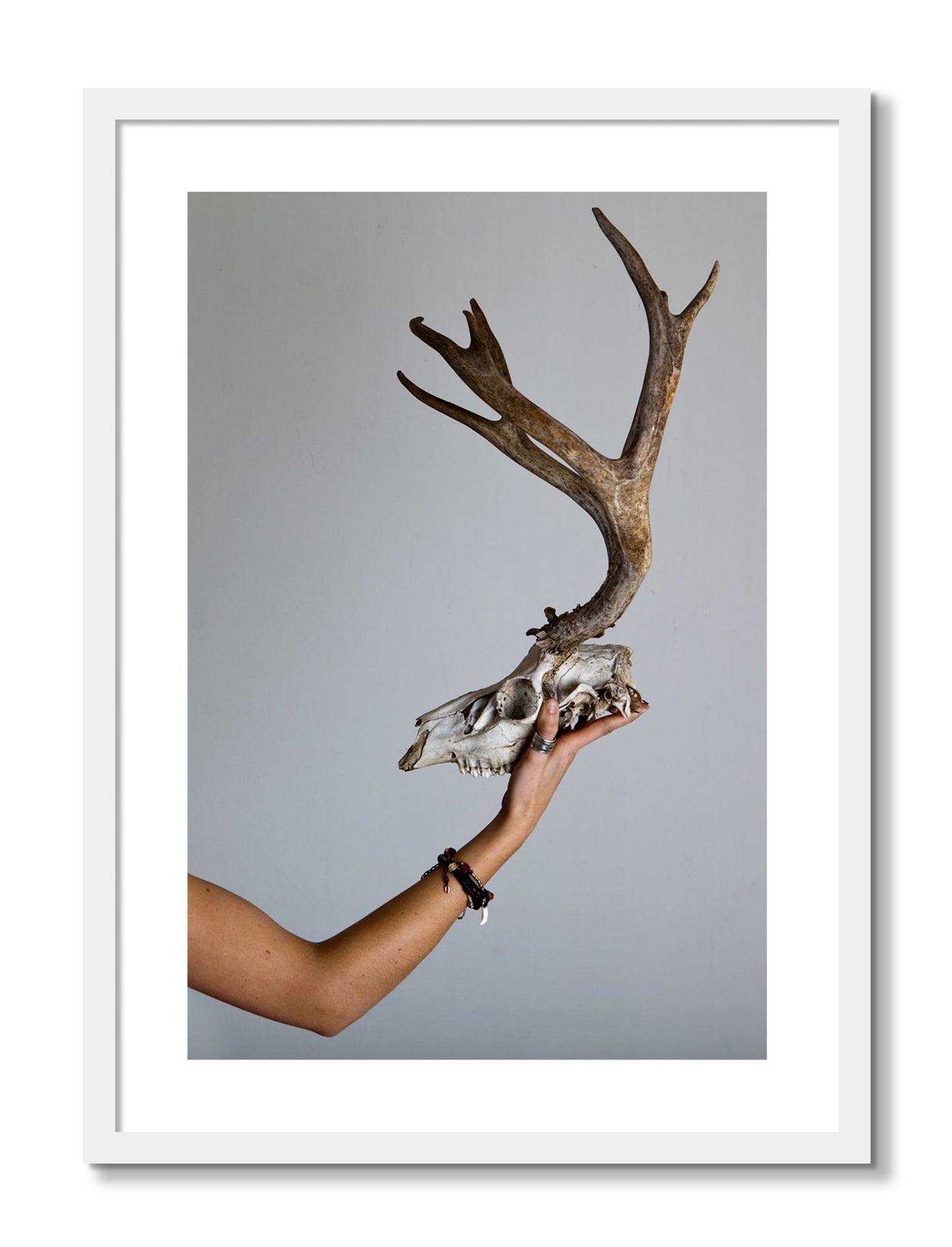 Framed photograph of First Kill by Dylan Ozanich, White frame, Borders