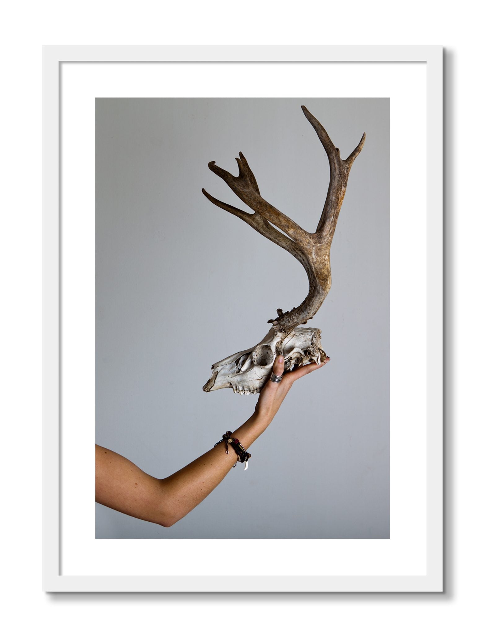 Framed photograph of First Kill by Dylan Ozanich, White frame, Borders