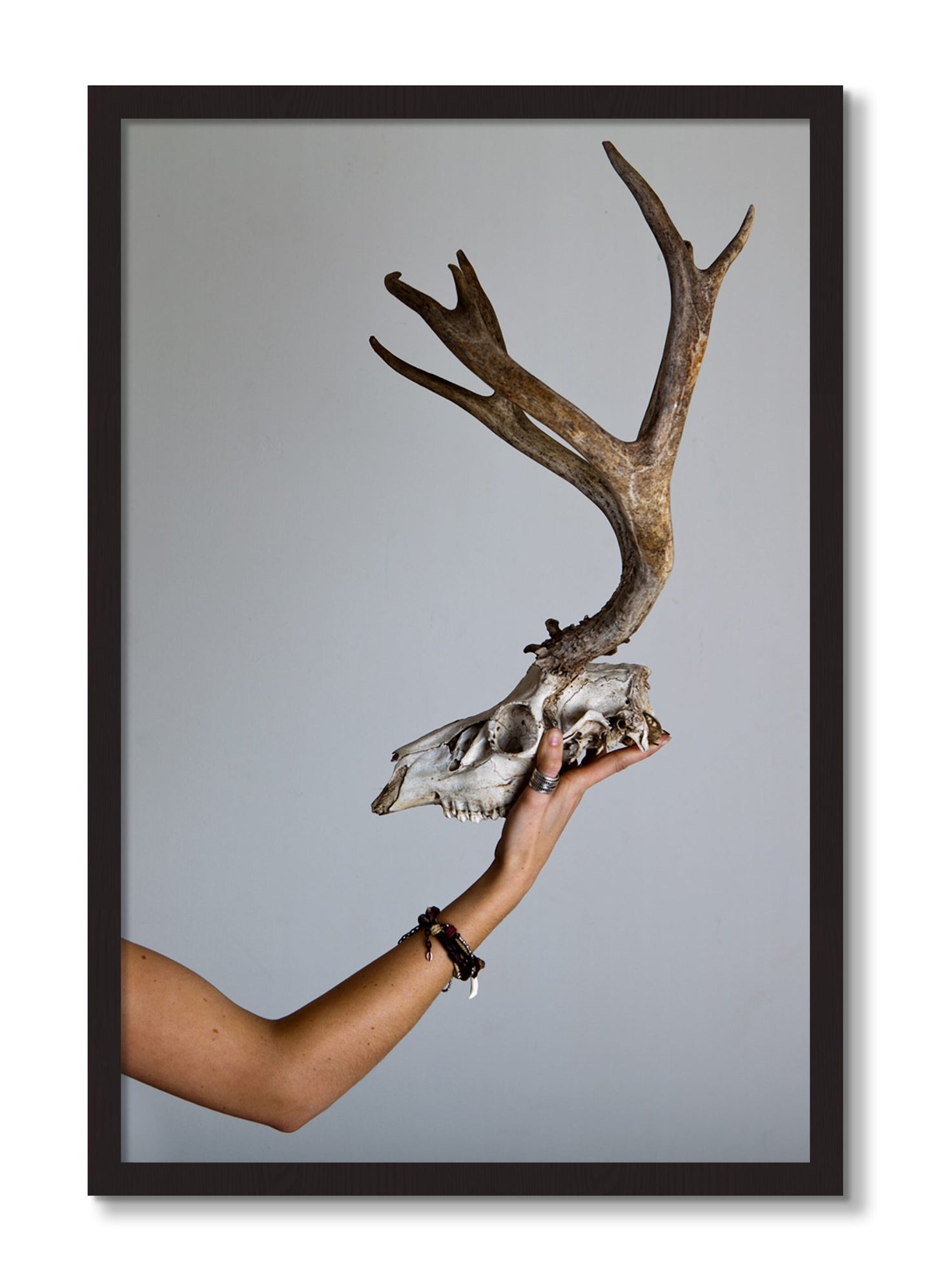 Framed photograph of First Kill by Dylan Ozanich, Black Walnut frame, Full Bleed