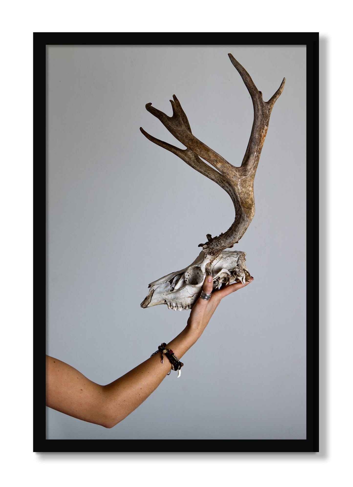 Framed photograph of First Kill by Dylan Ozanich, Black frame, Full Bleed