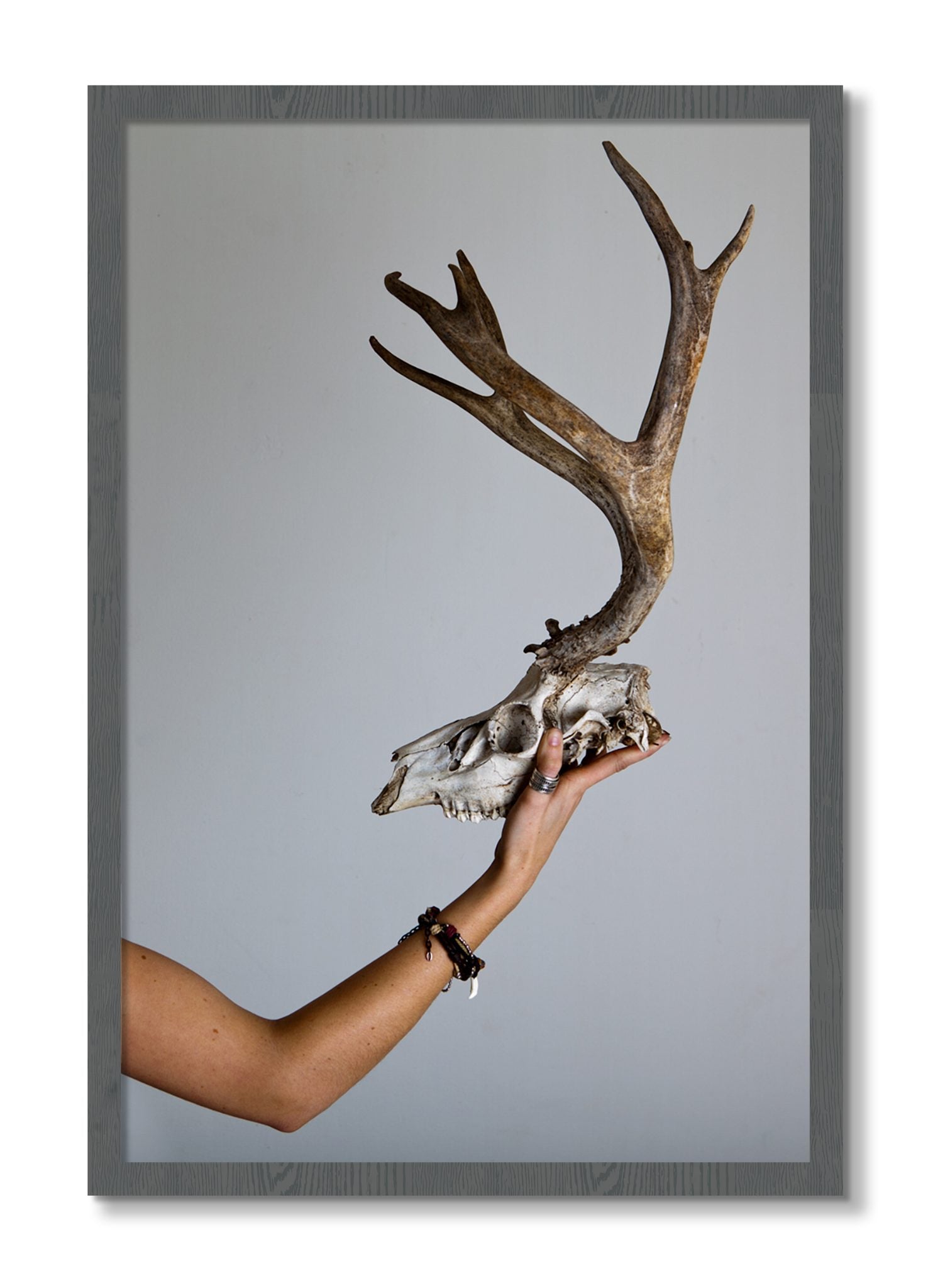 Framed photograph of First Kill by Dylan Ozanich, Grey frame, Full Bleed