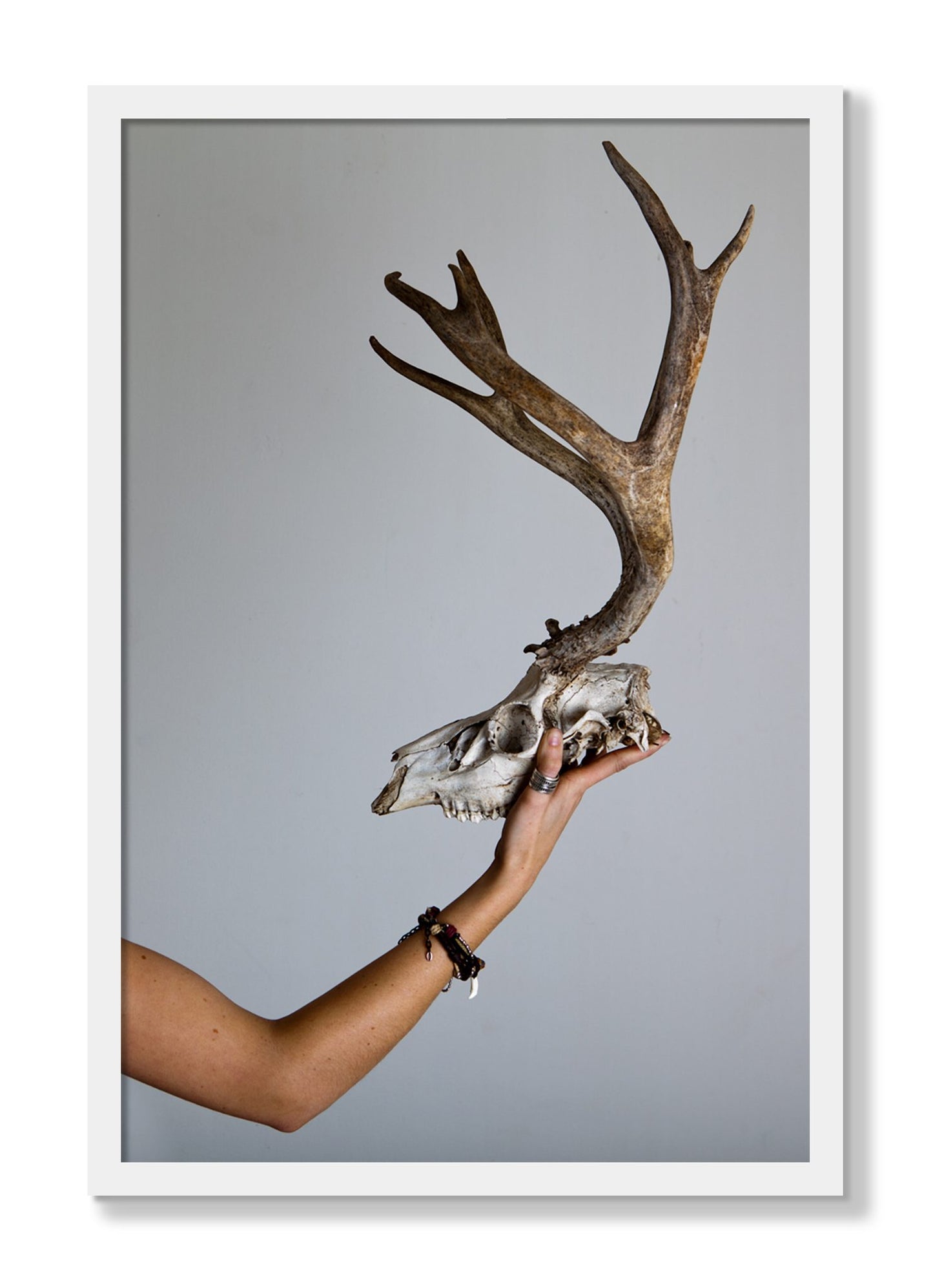 Framed photograph of First Kill by Dylan Ozanich, White frame, Full Bleed