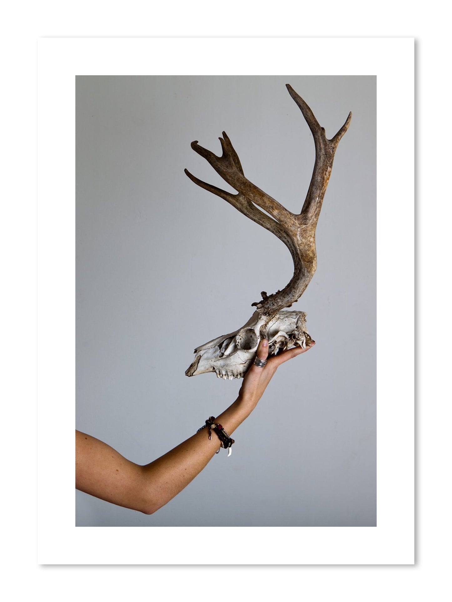 Fine art print of First Kill by Dylan Ozanich, unframed