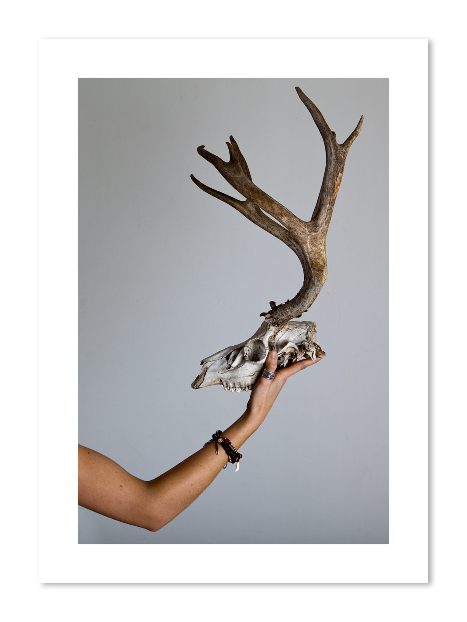 Fine art print of First Kill by Dylan Ozanich, unframed
