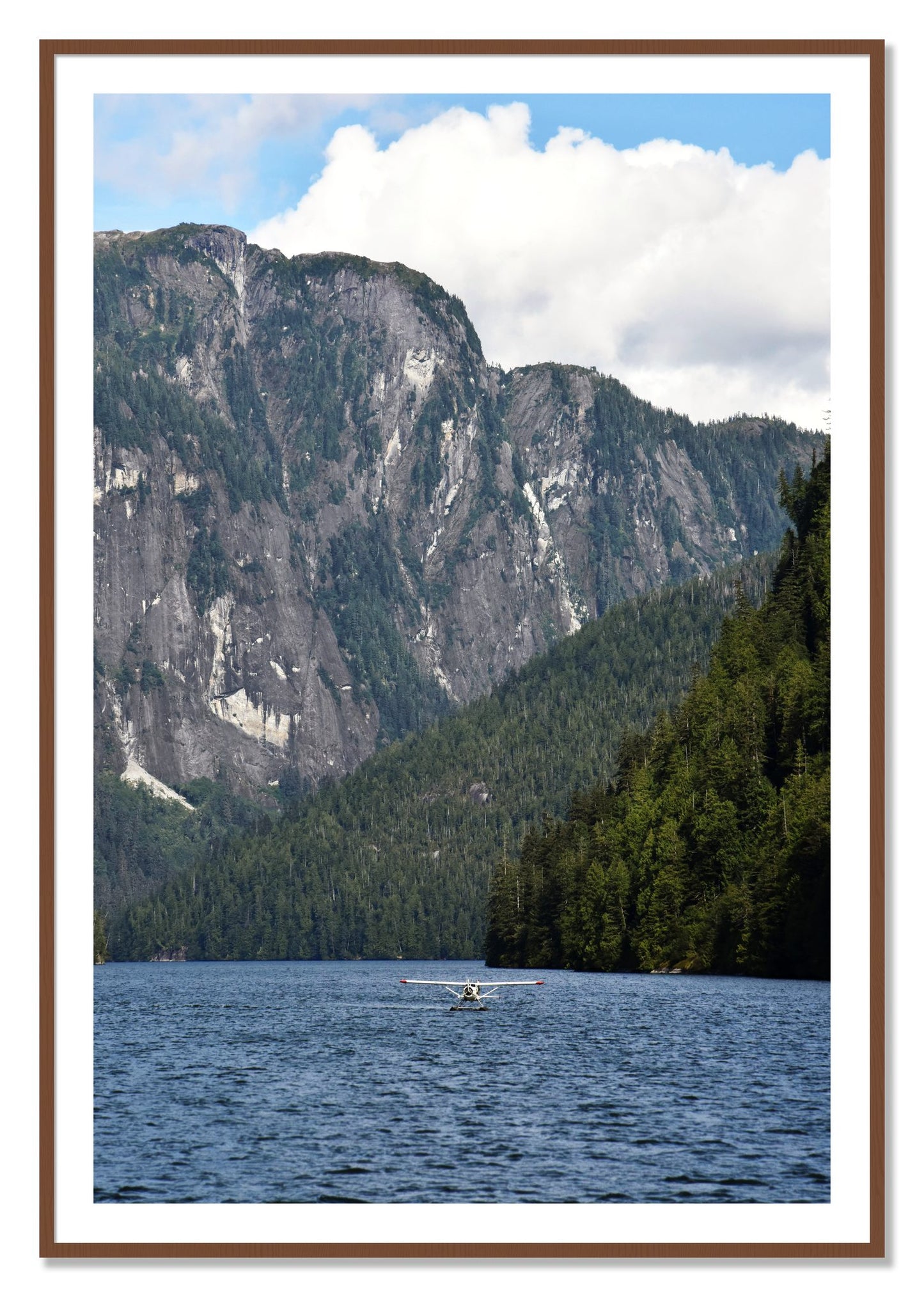 Framed photograph of Fjord Flight by Dylan Ozanich, Walnut frame, Borders