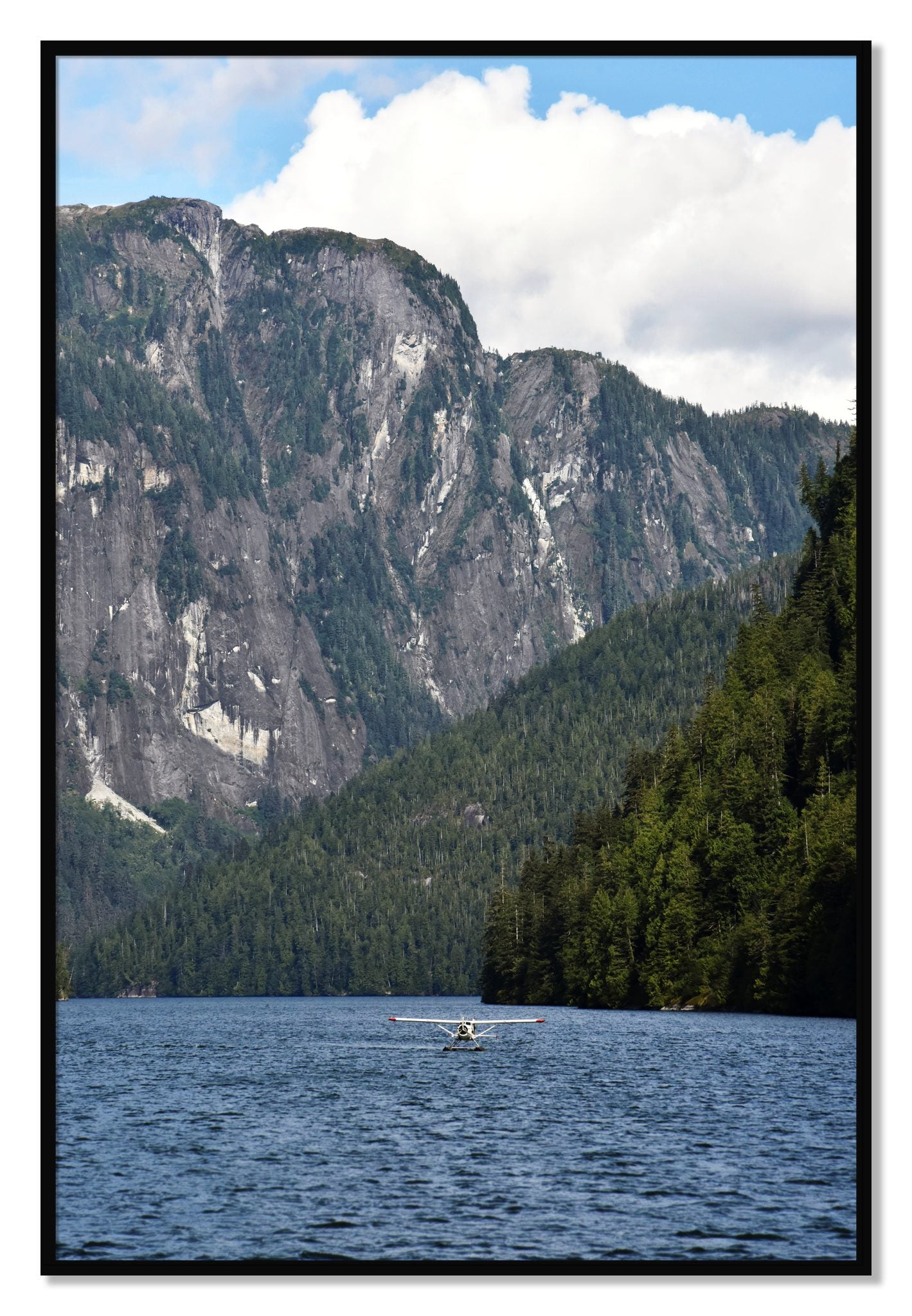 Framed photograph of Fjord Flight by Dylan Ozanich, Black frame, Full Bleed
