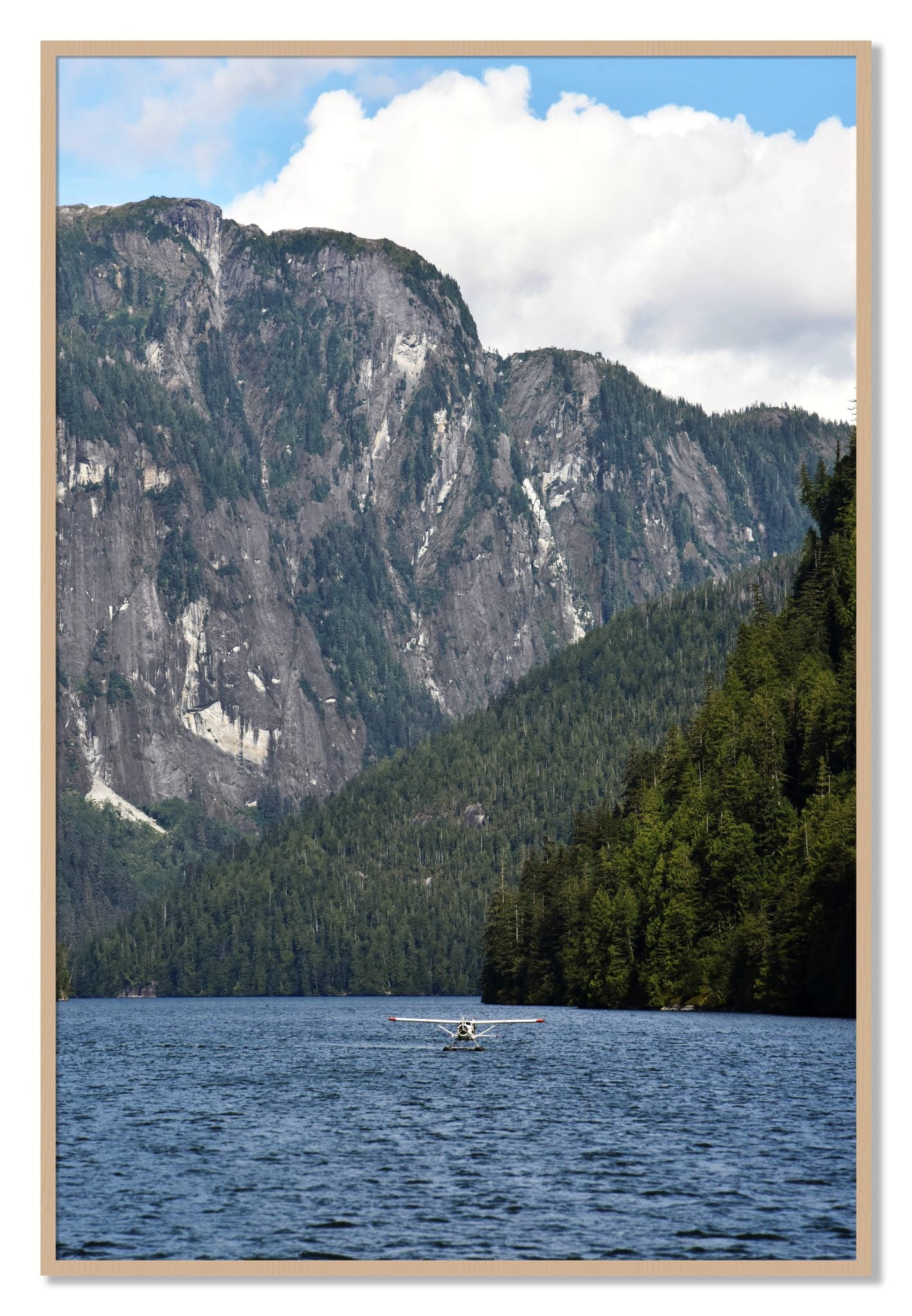 Framed photograph of Fjord Flight by Dylan Ozanich, Oak frame, Full Bleed