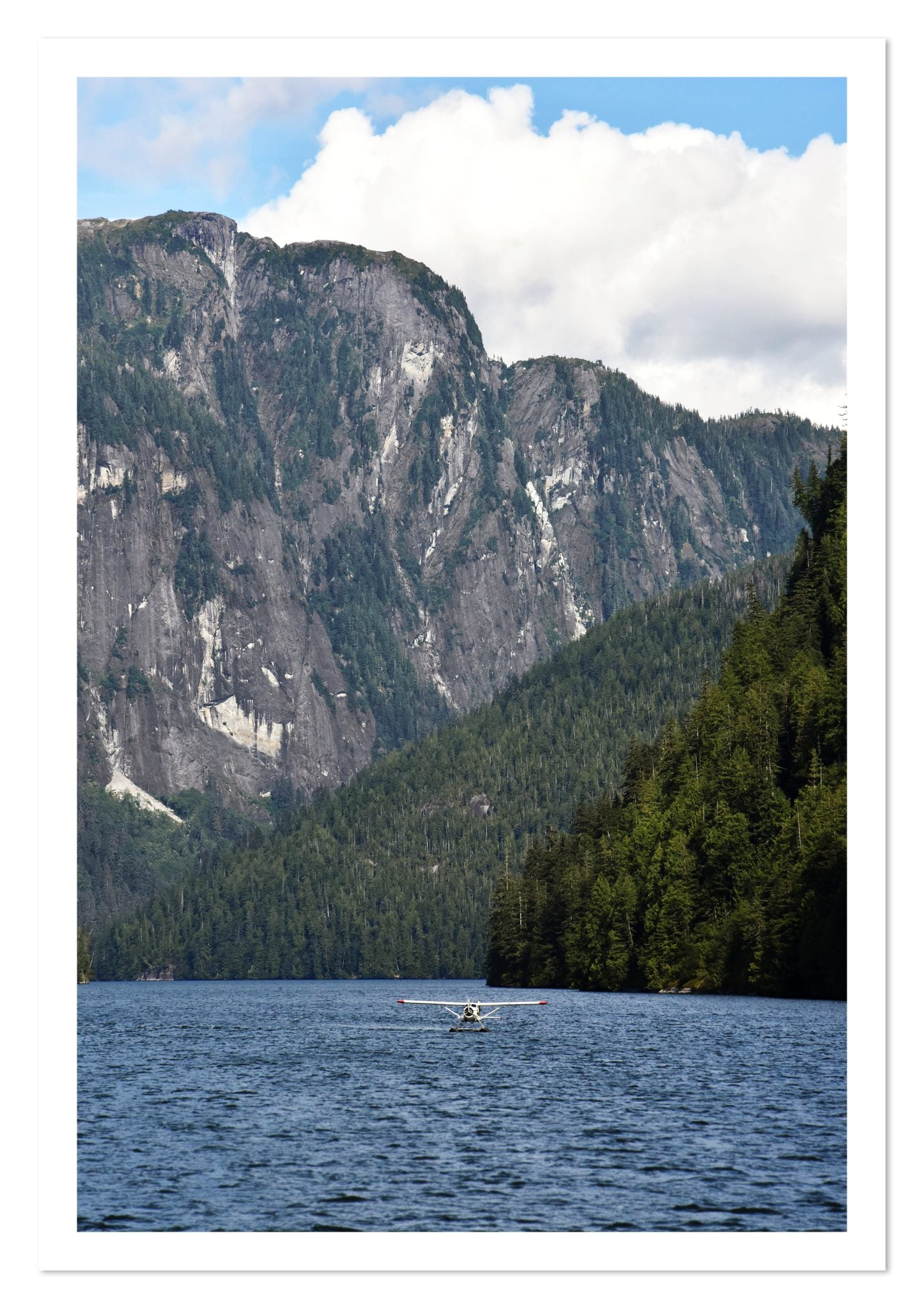 Fine art print of Fjord Flight by Dylan Ozanich, unframed