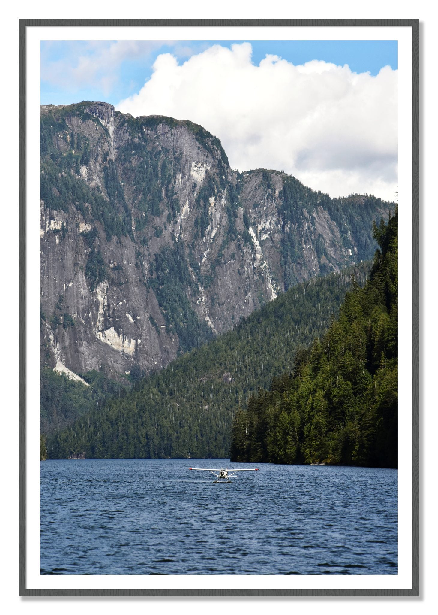Framed photograph of Fjord Flight by Dylan Ozanich, Grey frame, Borders