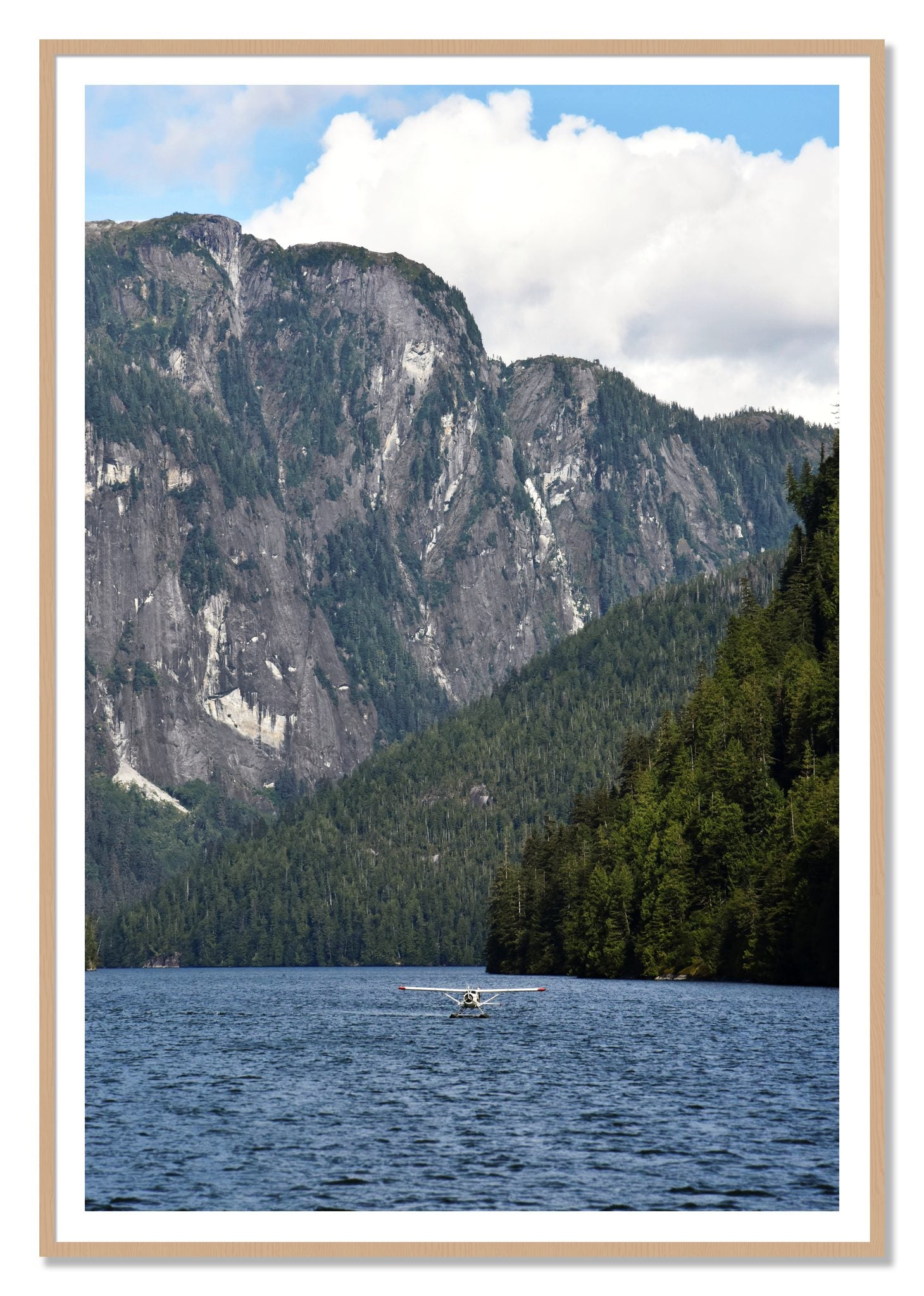 Framed photograph of Fjord Flight by Dylan Ozanich, Oak frame, Borders