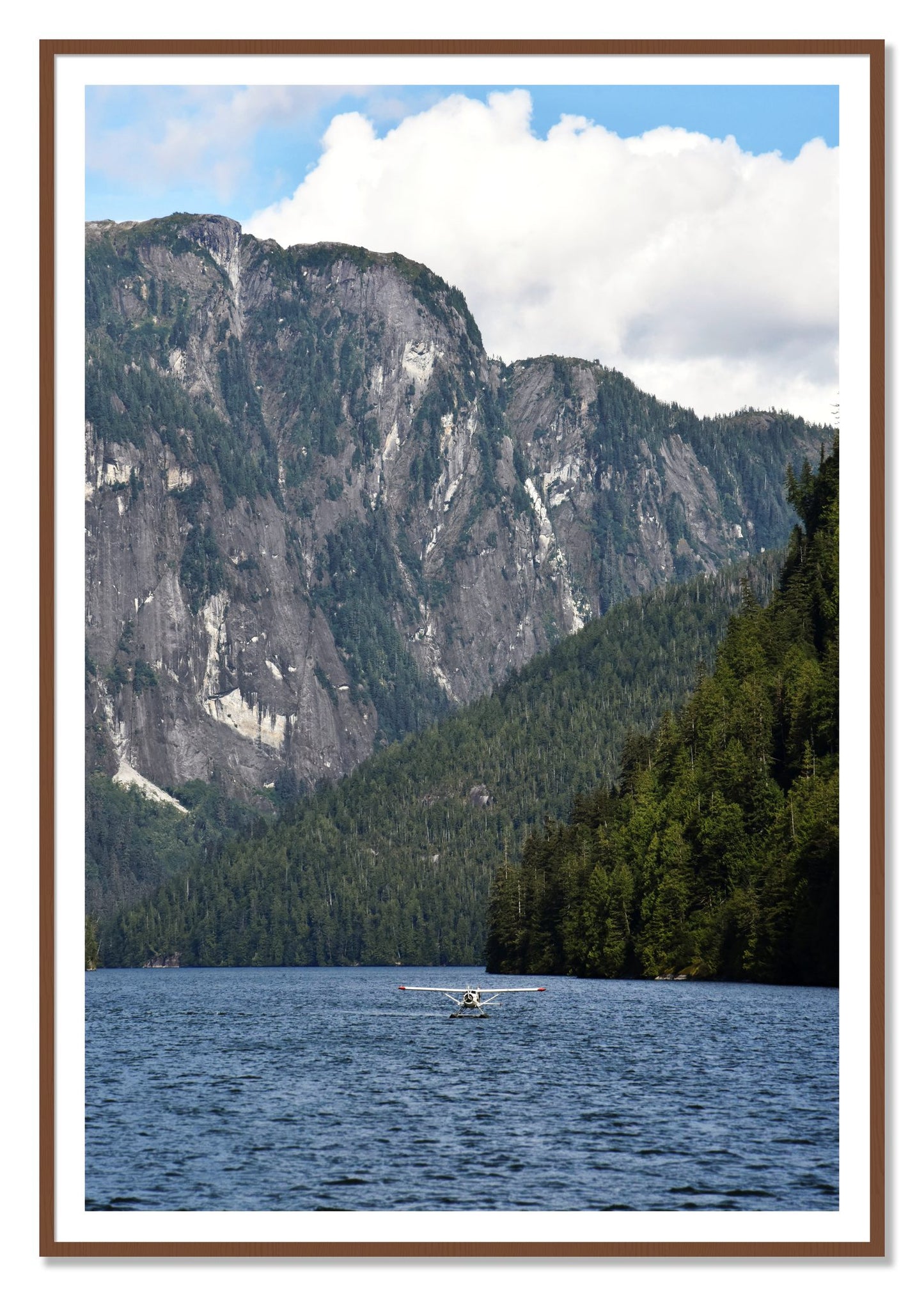 Framed photograph of Fjord Flight by Dylan Ozanich, Walnut frame, Borders