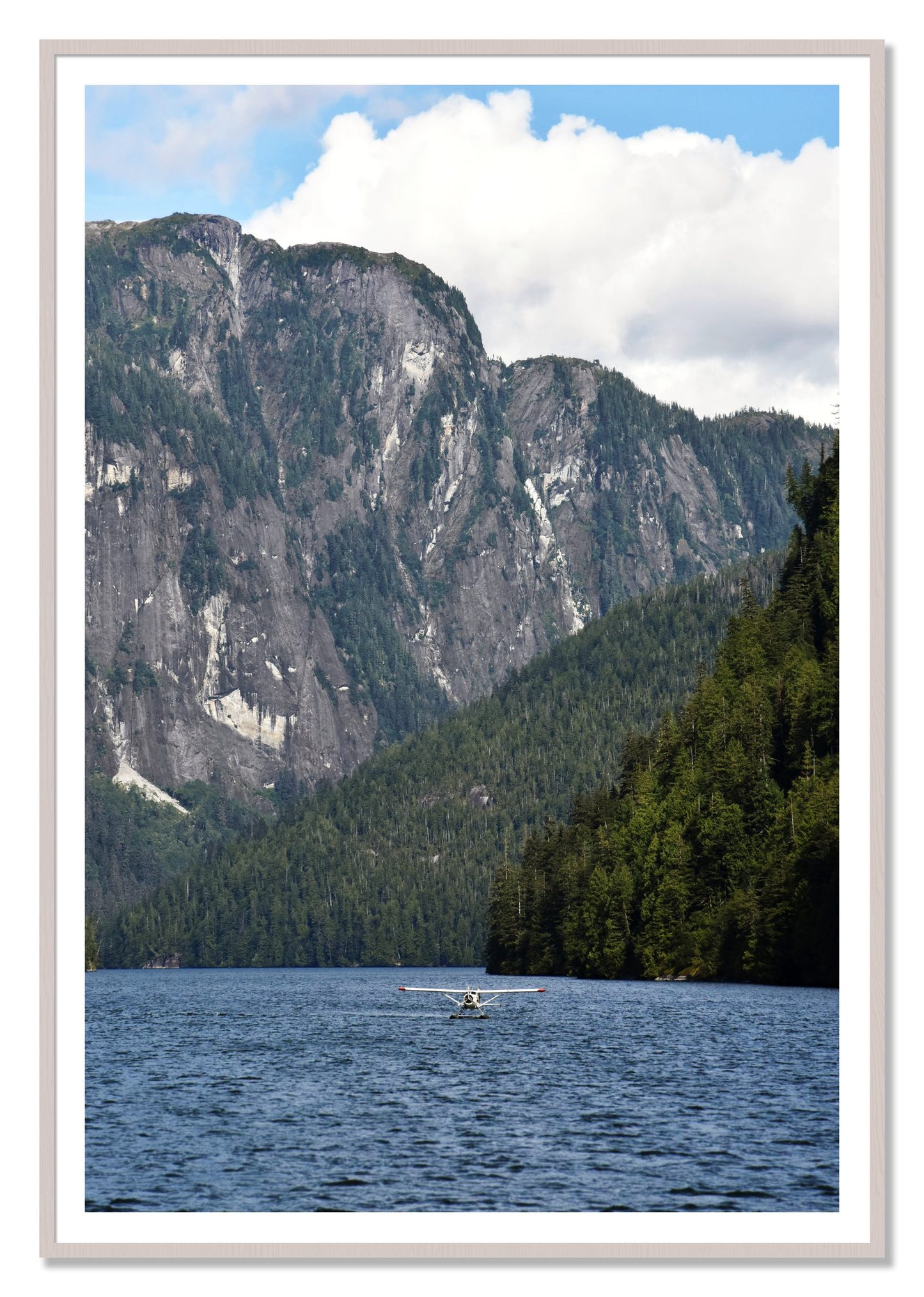 Framed photograph of Fjord Flight by Dylan Ozanich, White Maple frame, Borders