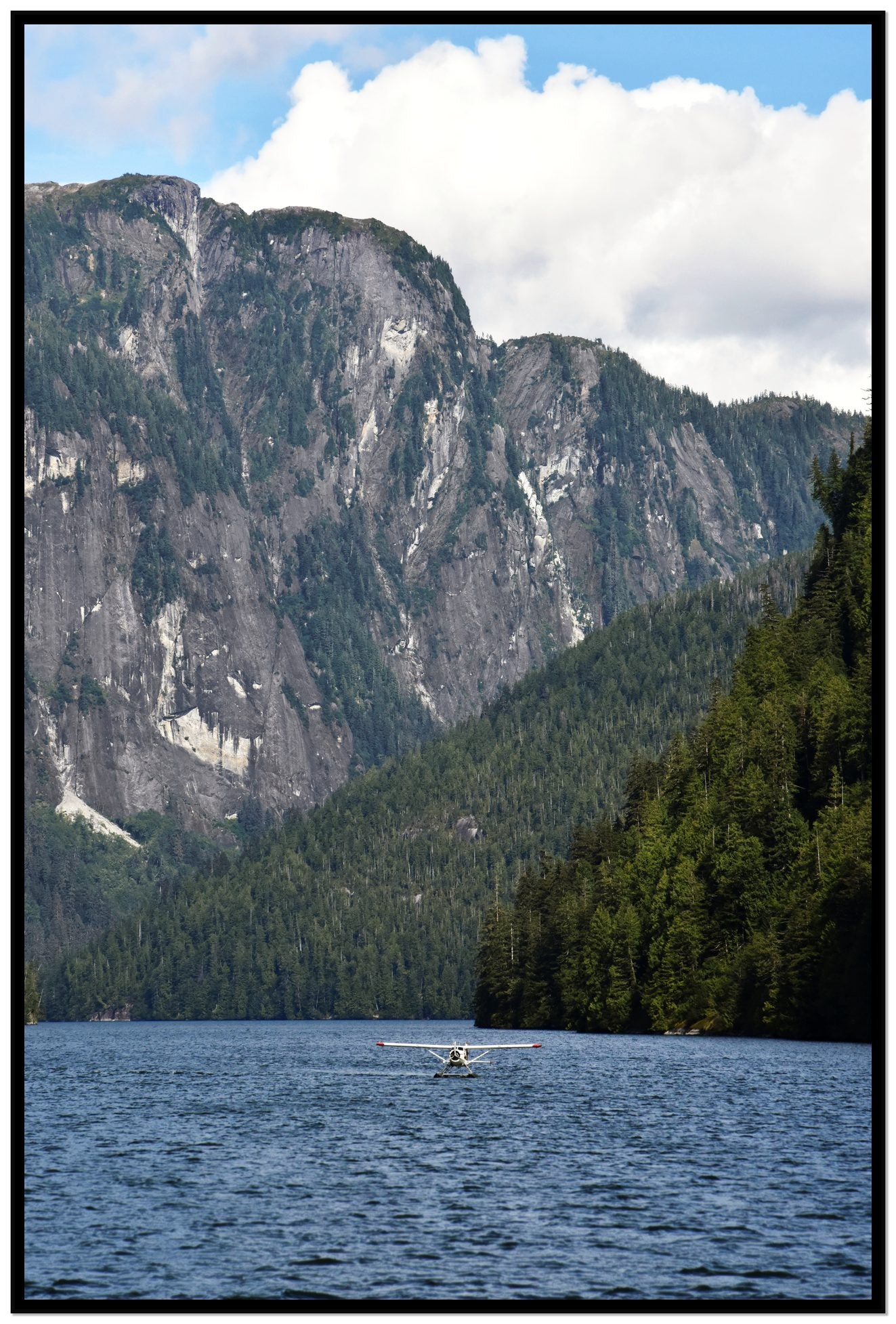 Framed photograph of Fjord Flight by Dylan Ozanich, Black frame, Full Bleed