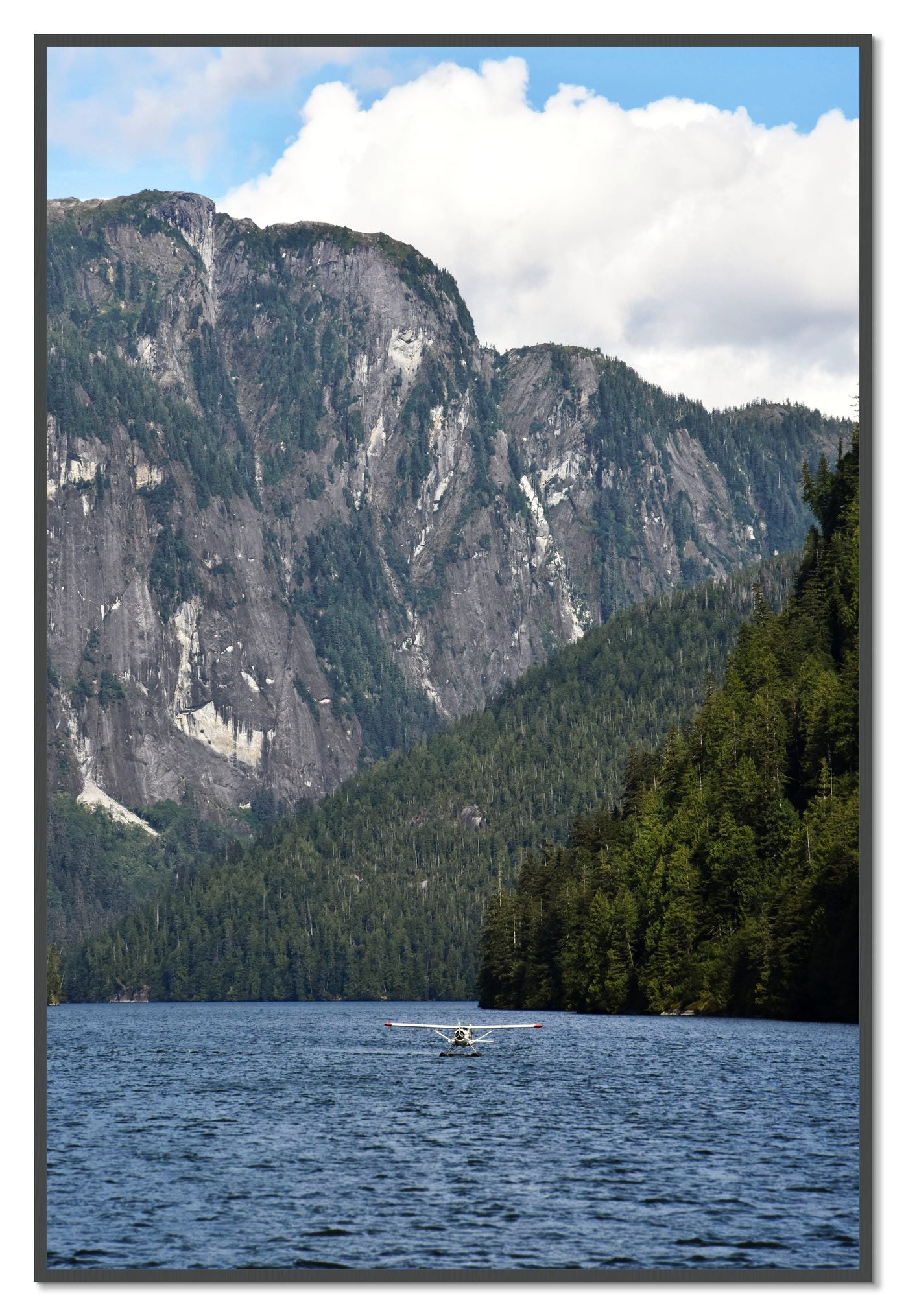 Framed photograph of Fjord Flight by Dylan Ozanich, Grey frame, Full Bleed