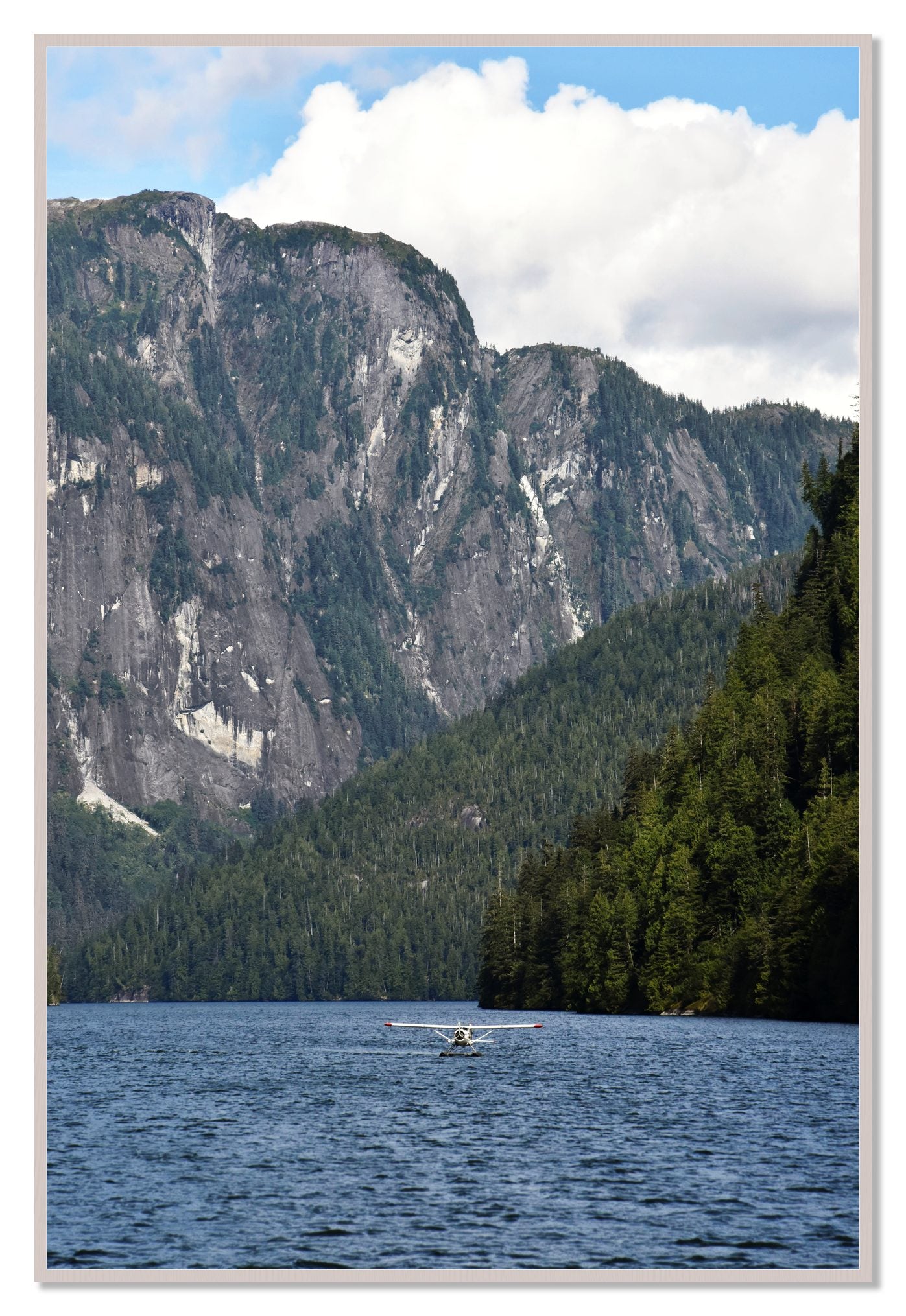Framed photograph of Fjord Flight by Dylan Ozanich, White Maple frame, Full Bleed
