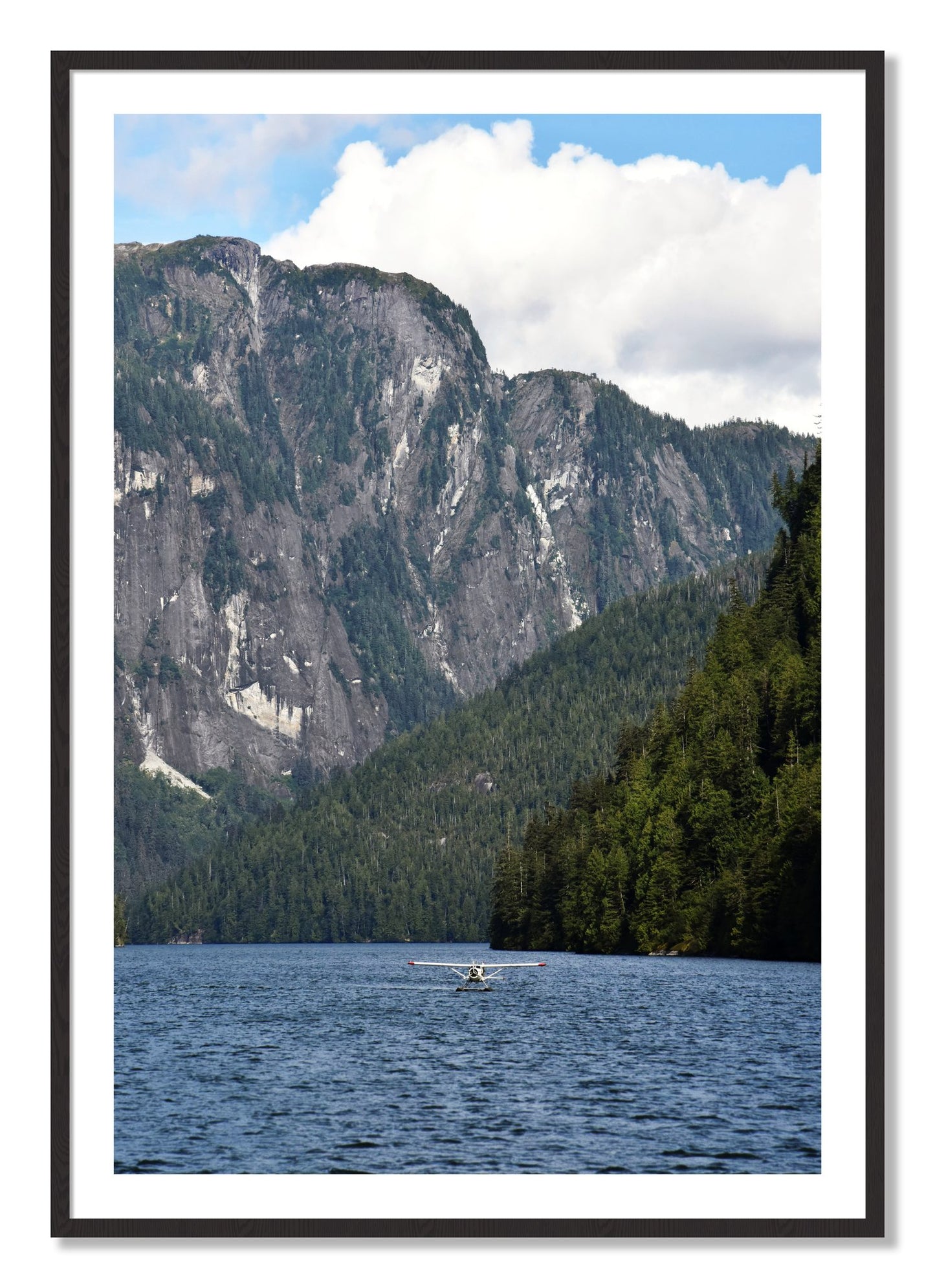 Framed photograph of Fjord Flight by Dylan Ozanich, Black Walnut frame, Borders