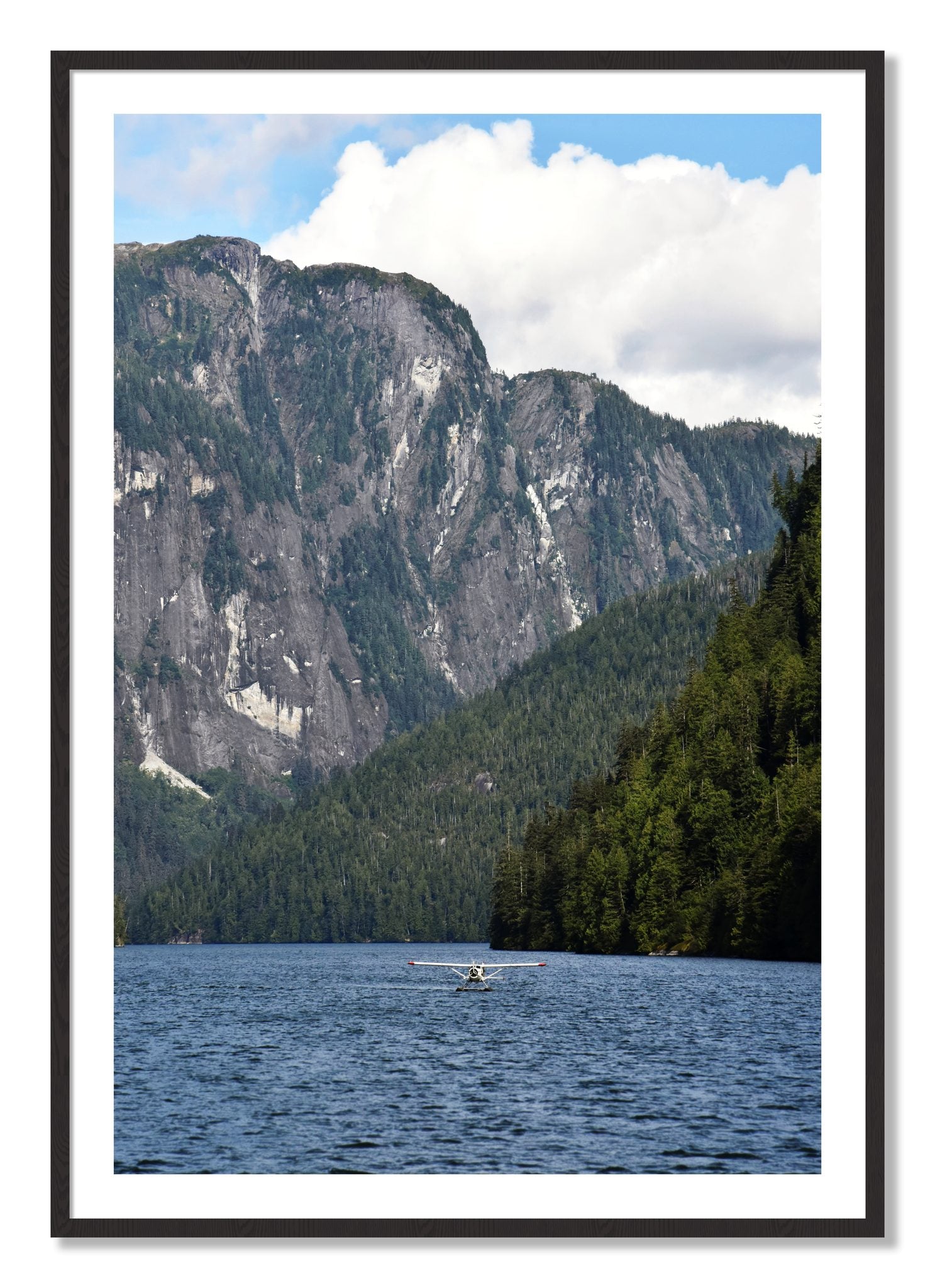 Framed photograph of Fjord Flight by Dylan Ozanich, Black Walnut frame, Borders