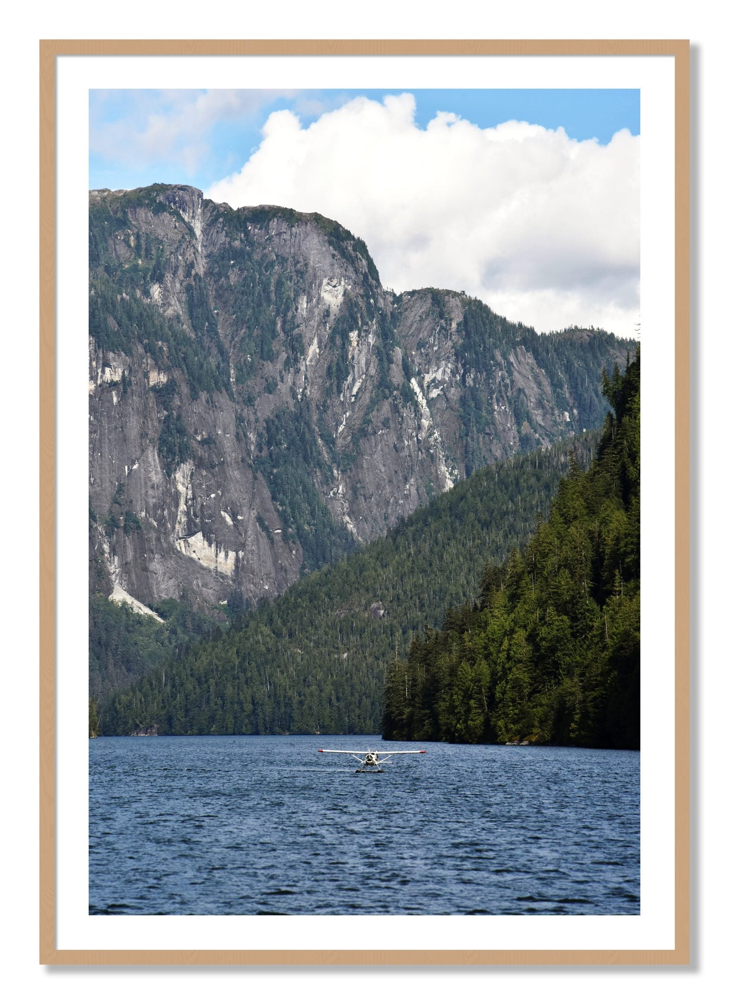 Framed photograph of Fjord Flight by Dylan Ozanich, Oak frame, Borders