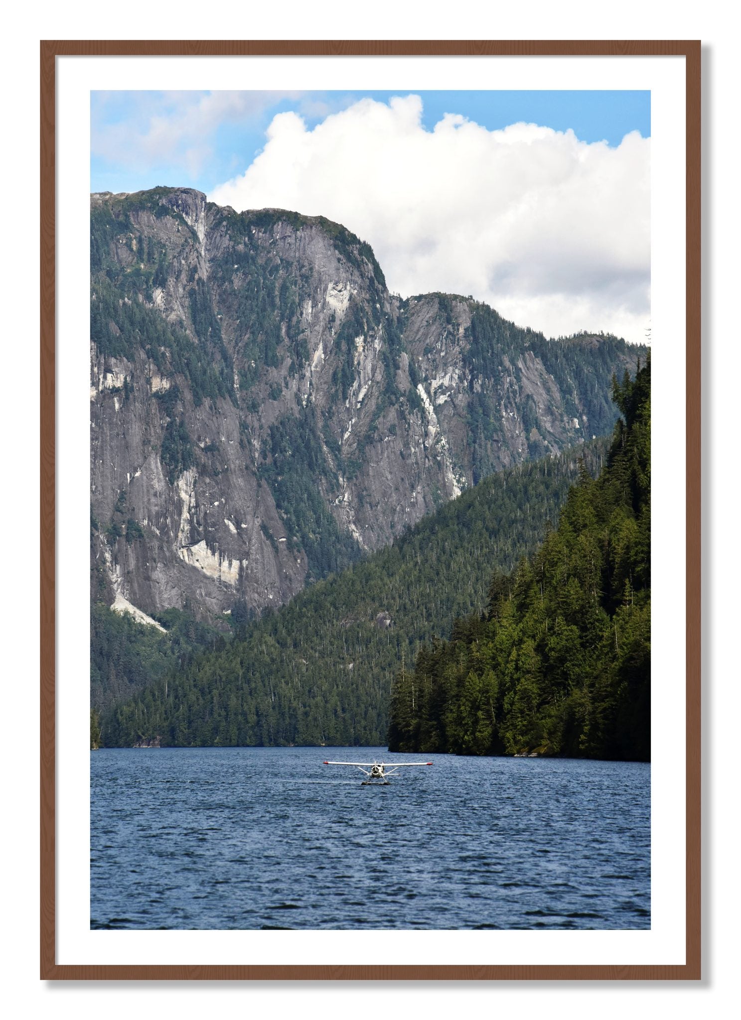 Framed photograph of Fjord Flight by Dylan Ozanich, Walnut frame, Borders