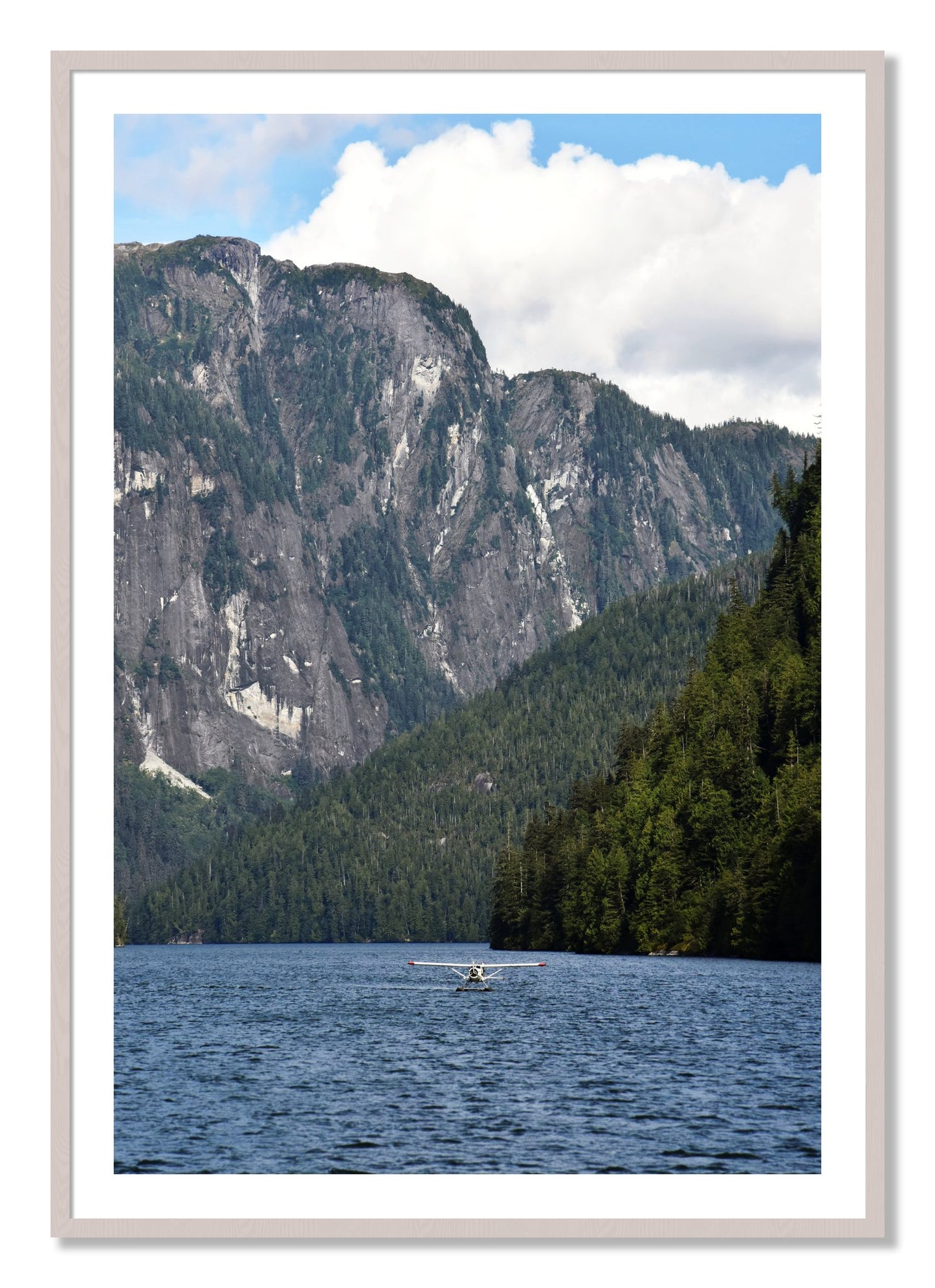 Framed photograph of Fjord Flight by Dylan Ozanich, White Maple frame, Borders