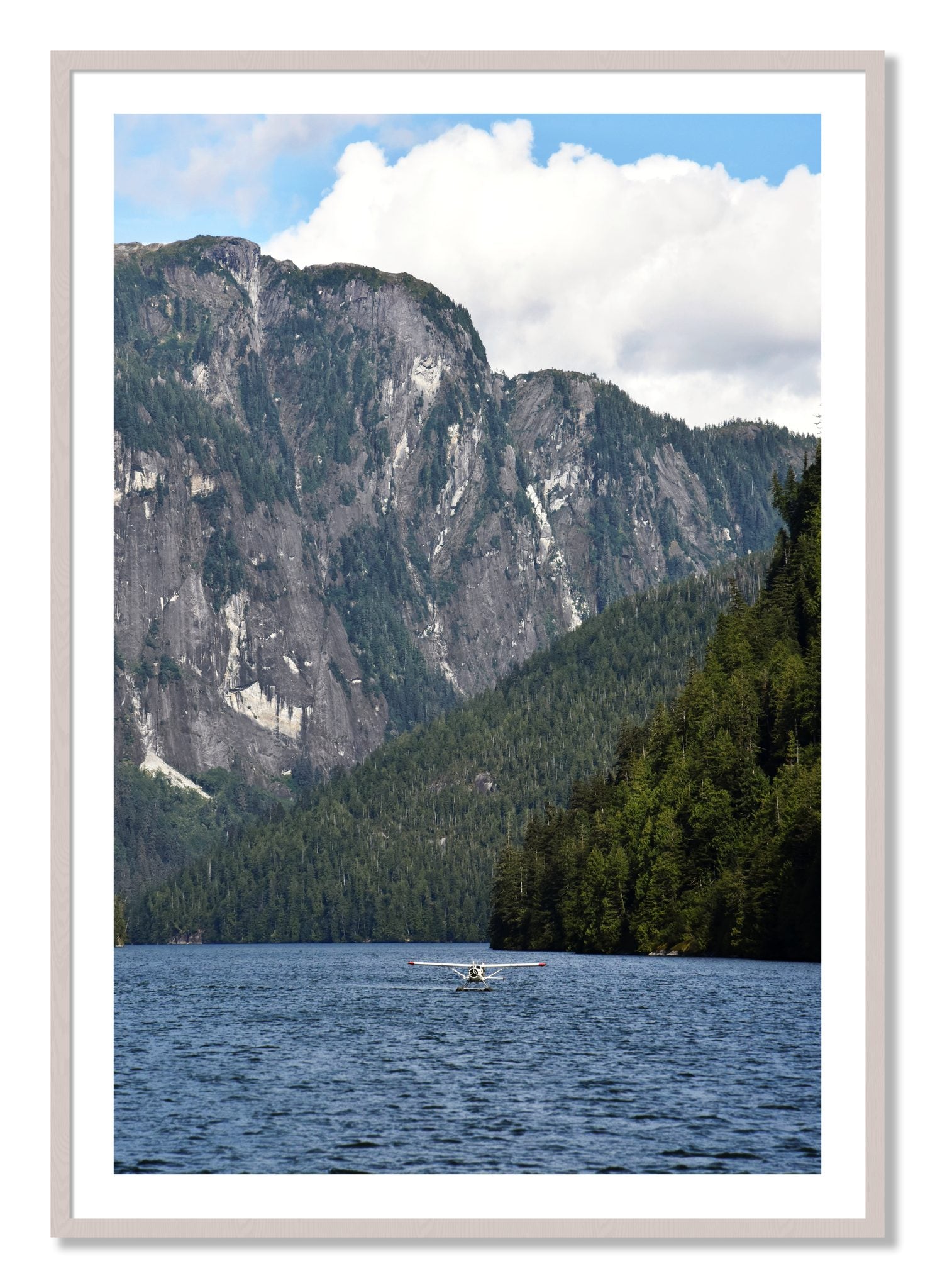 Framed photograph of Fjord Flight by Dylan Ozanich, White Maple frame, Borders