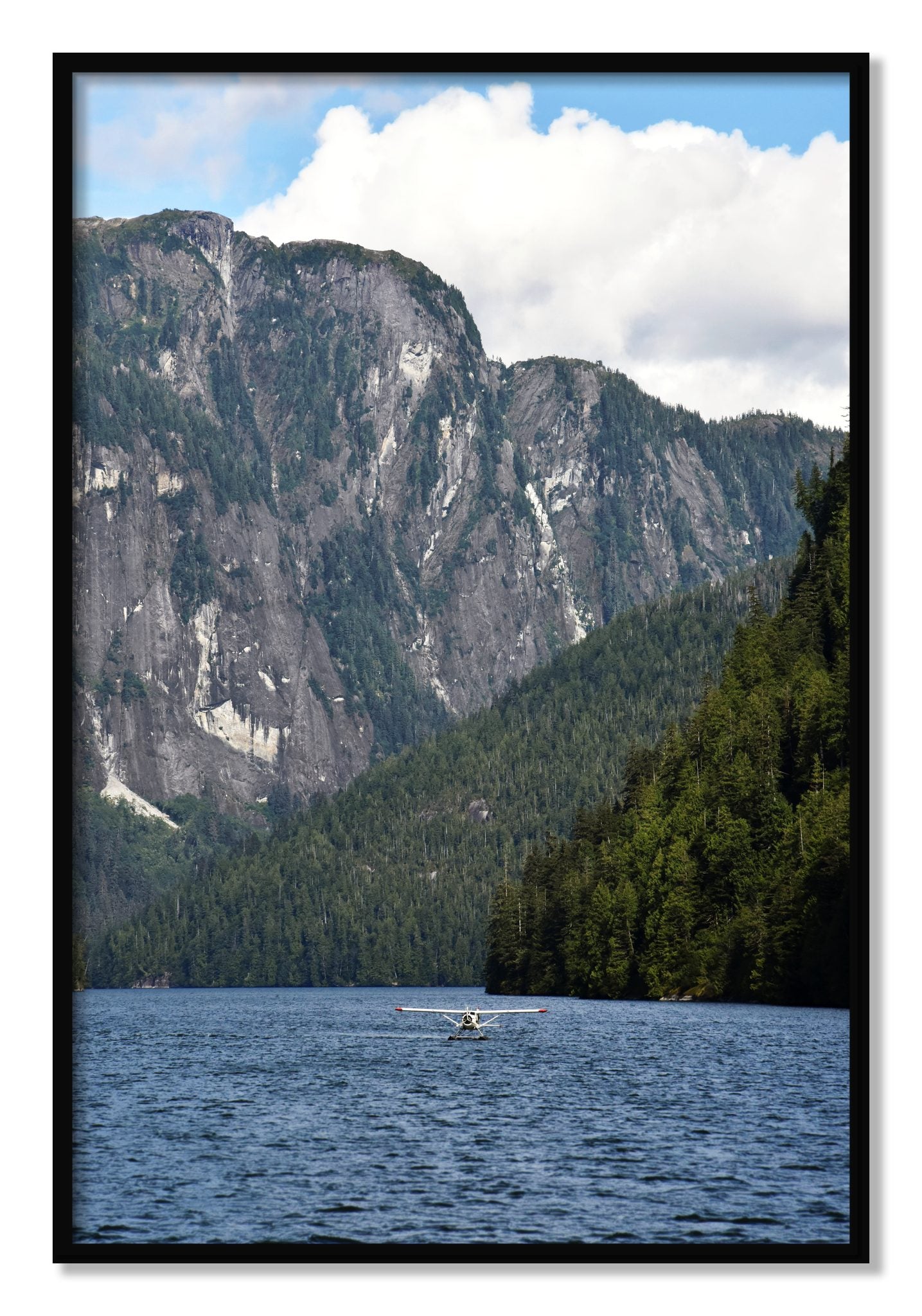 Framed photograph of Fjord Flight by Dylan Ozanich, Black frame, Full Bleed