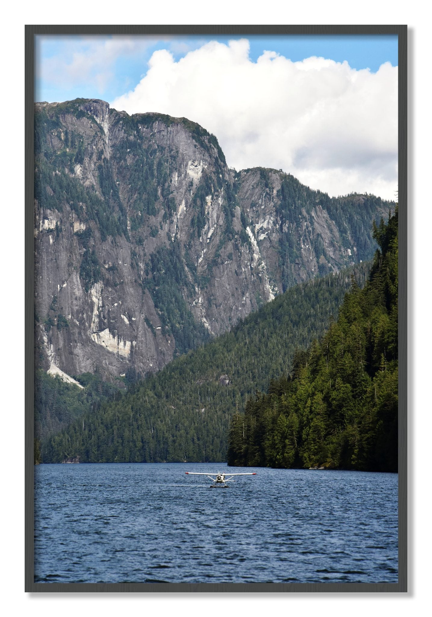 Framed photograph of Fjord Flight by Dylan Ozanich, Grey frame, Full Bleed