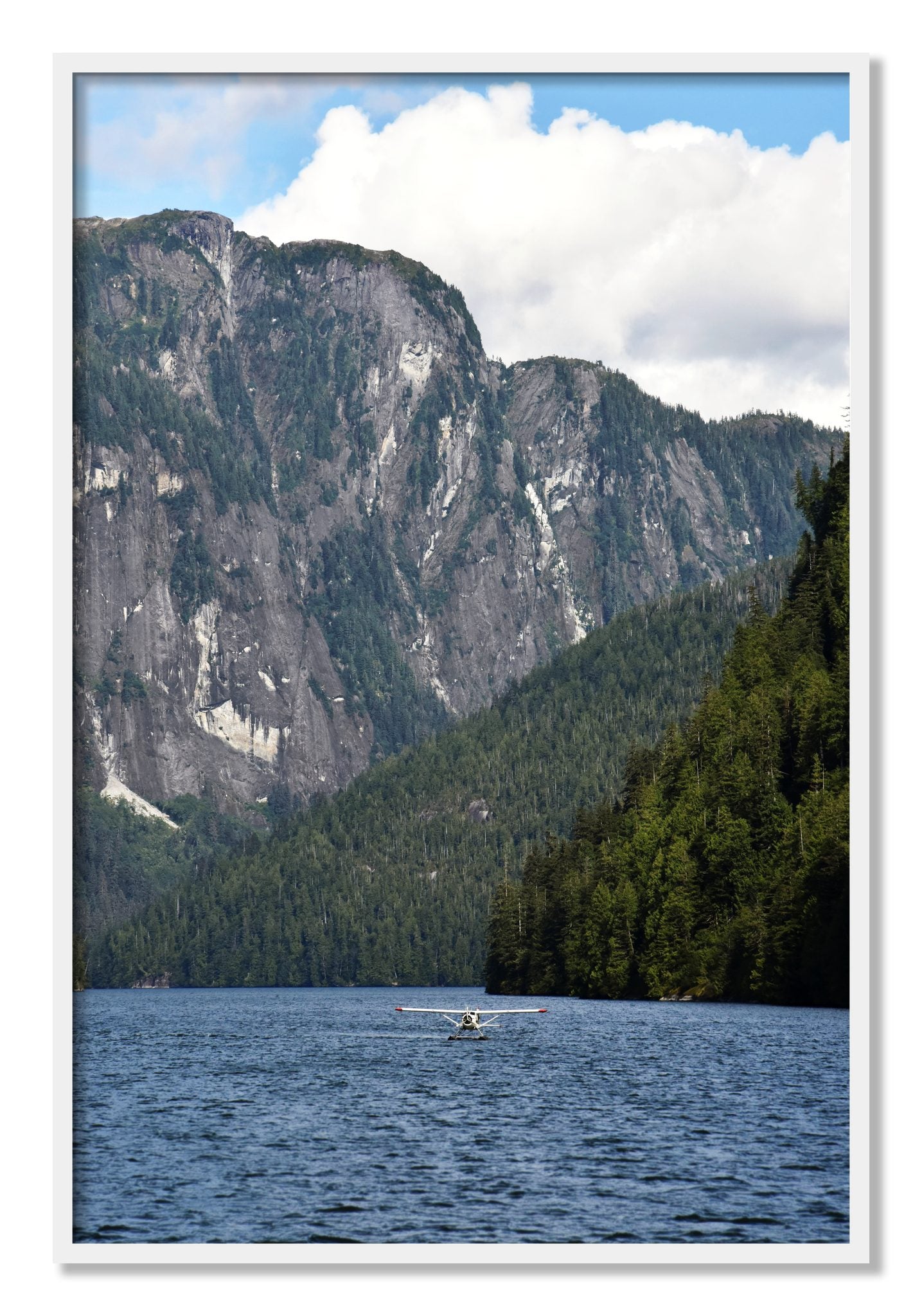 Framed photograph of Fjord Flight by Dylan Ozanich, White frame, Full Bleed