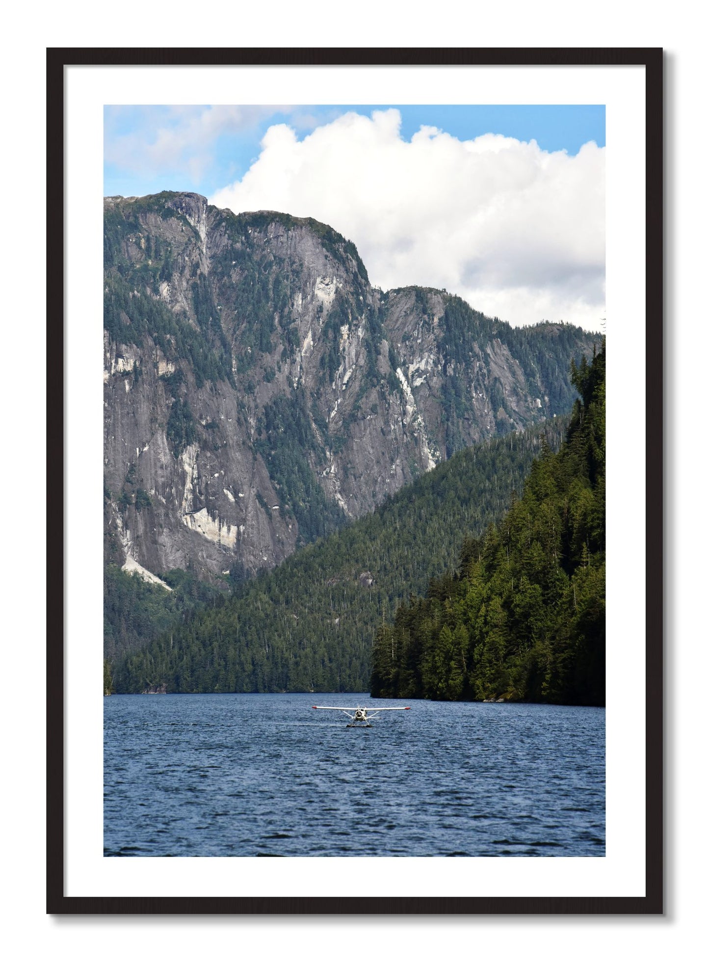 Framed photograph of Fjord Flight by Dylan Ozanich, Black Walnut frame, Borders
