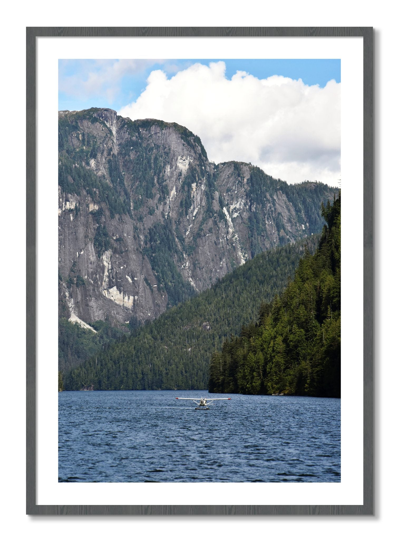 Framed photograph of Fjord Flight by Dylan Ozanich, Grey frame, Borders